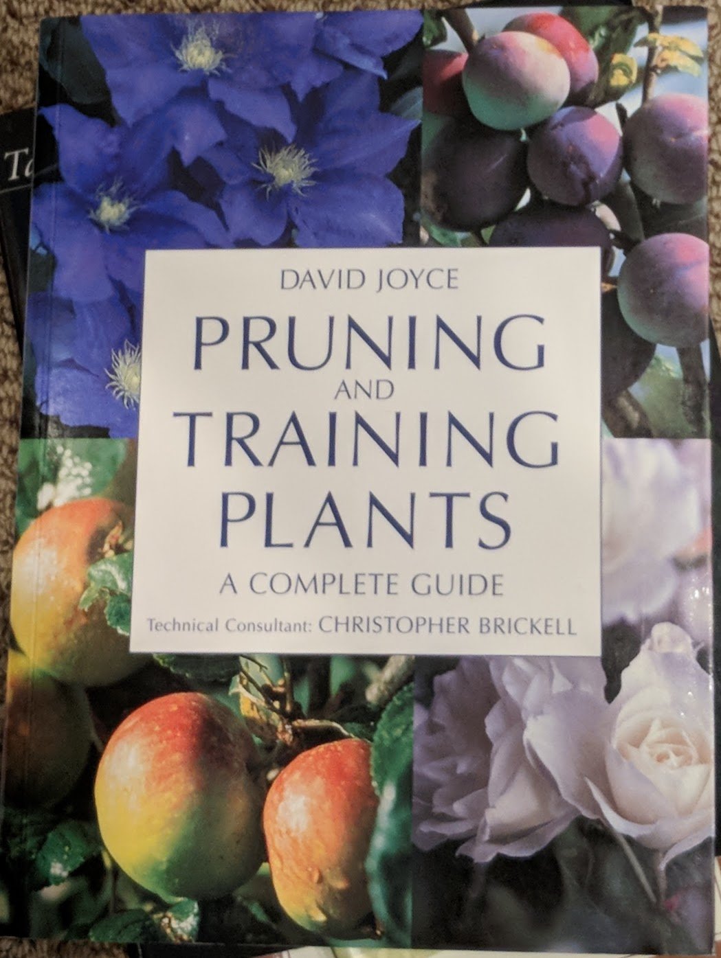 Pruning and Training Plants: Complete Guide for Gardening, Landscaping & Indoor Plant Care | Step-by-Step Techniques