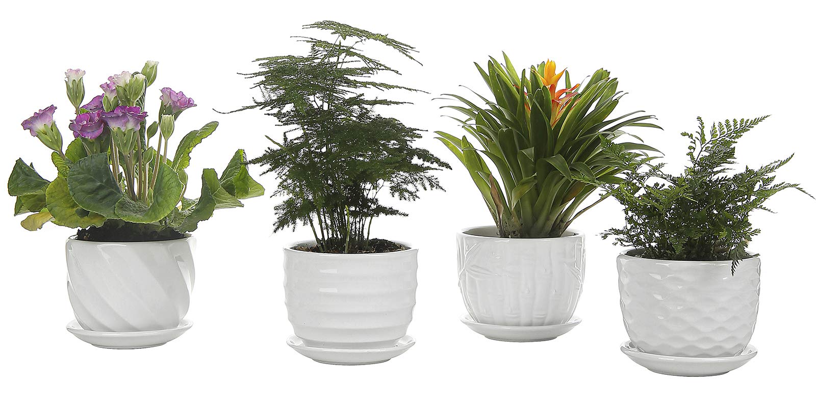 Snake Plant Pots - 6 Inch Indoor Planters with Drainage Holes for Succulents, Herbs & Flowers - Perfect for Home Decor, Office Desk & Balcony Gardening