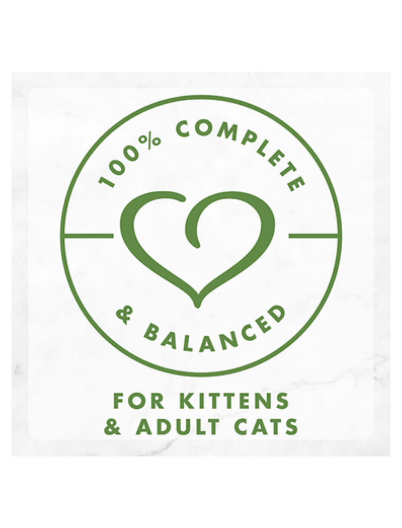 Fancy Feast Gravy Lovers Salmon Canned Cat Food 85g - Premium Wet Cat Food for Adult Cats | High Protein Meal for Picky Eaters | Perfect for Indoor Cats & Senior Cats