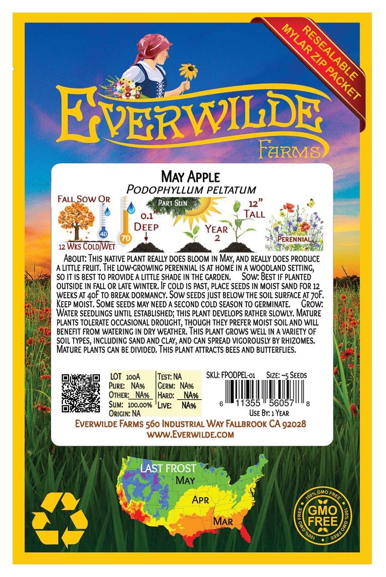 Everwilde Farms - 5 May Apple Native Wildflower Seeds - Gold Vault Jumbo Seed Packet for Planting in Gardens, Meadows & Pollinator Habitats
