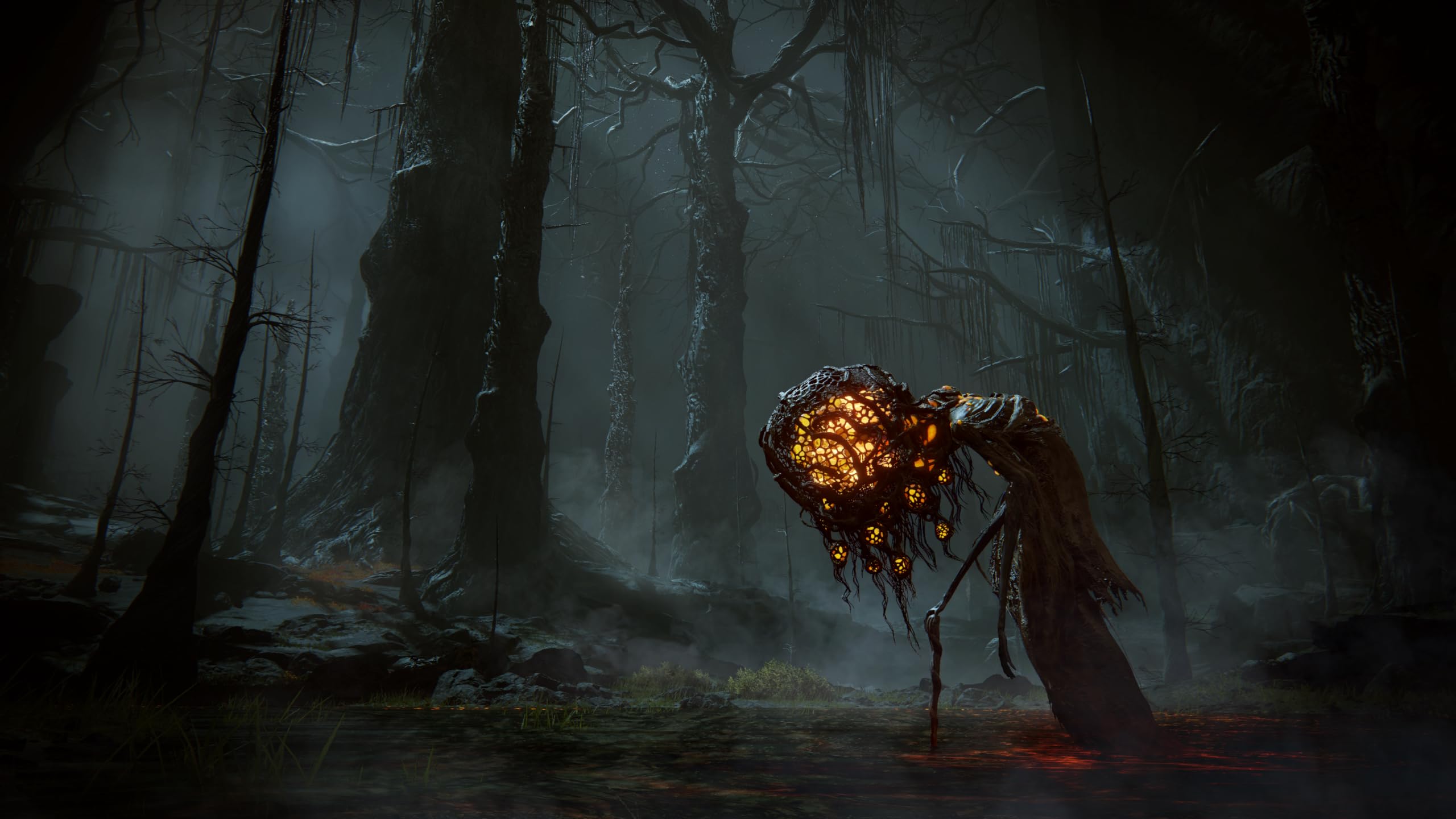 Elden Ring Shadow of the Erdtree - PS5 Game | Action RPG Adventure | Explore Fantasy Open World | Perfect for Hardcore Gamers & Dark Fantasy Fans