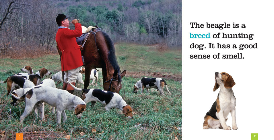Beagles Book - ISBN 9781608186617 | Dog Training, Pet Care & Breed Guide for Beagle Lovers | Perfect for Gifts & Dog Owners
