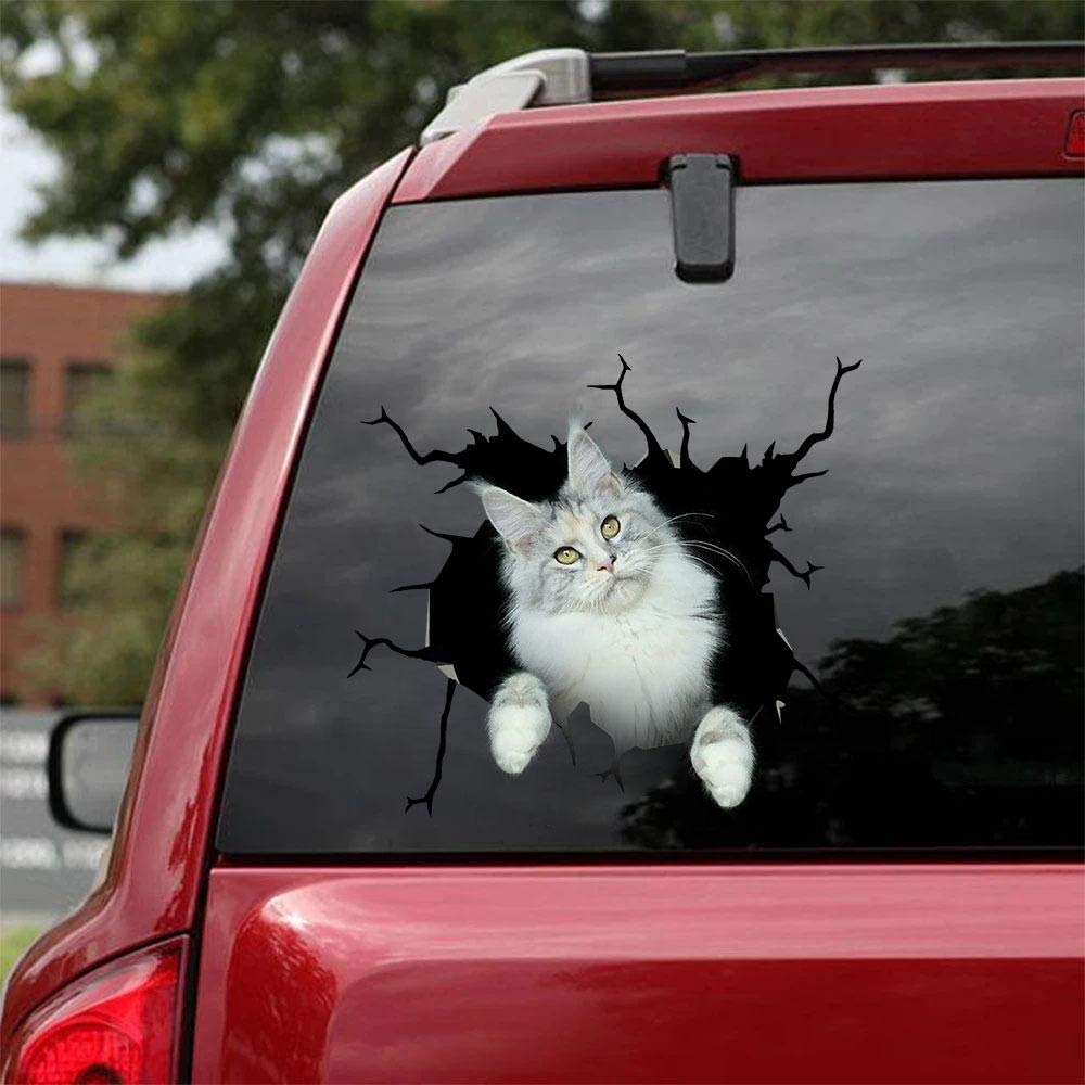 Maine Coon Cat Car Decals Pack of 2 - 10