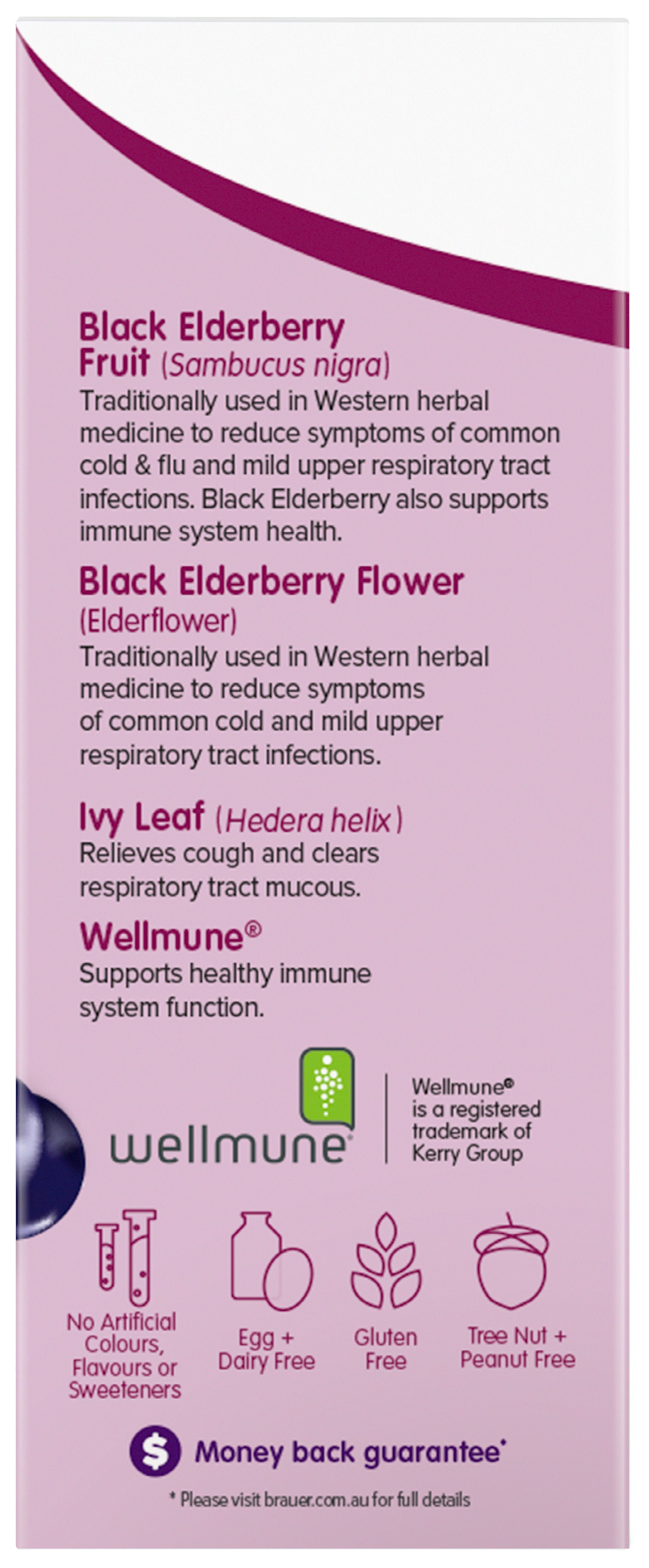 Brauer Sambucus Black Elderberry Cold & Flu Forte - Immune Support Supplement for Adults & Kids - Boost Immunity During Cold & Flu Season - Great for Travel, School & Work Wellness