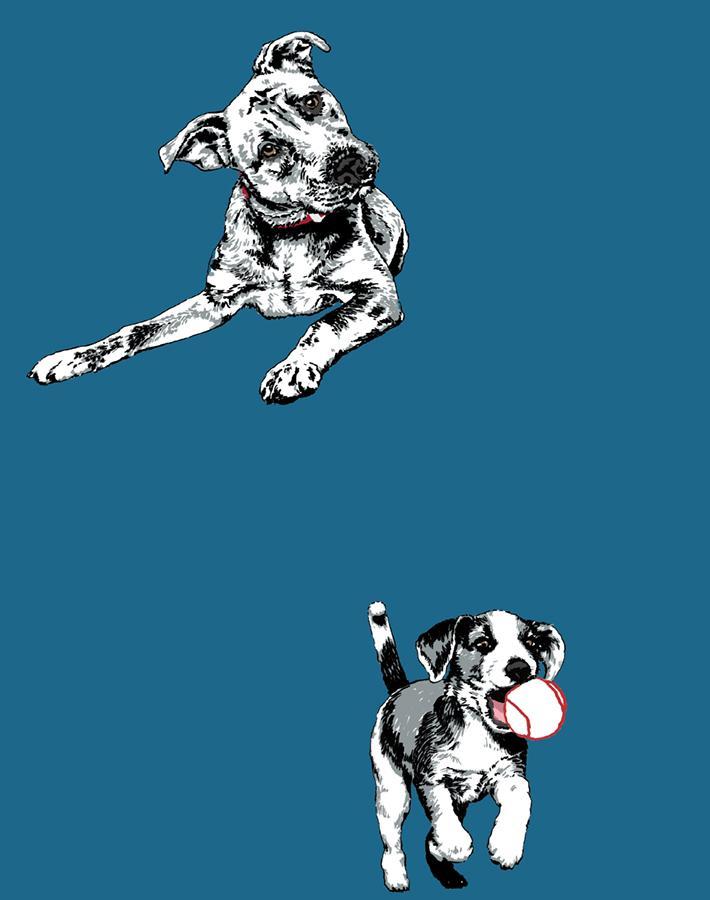 Nathan Turner Mutts Wallpaper in Cadet Blue - Premium Peel and Stick Removable Wallpaper for Bedroom, Nursery, and Home Decor