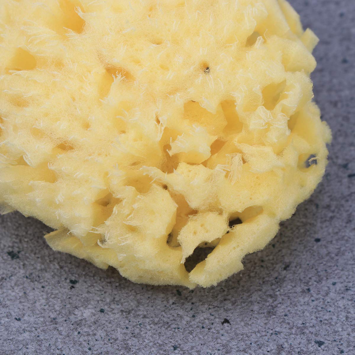 Natural Baby Bath Sponge - Soft Seaweed & Algae Sponge for Gentle Bathing | Honeycomb Design for Newborns & Toddlers | Perfect for Sensitive Skin & Shower Time