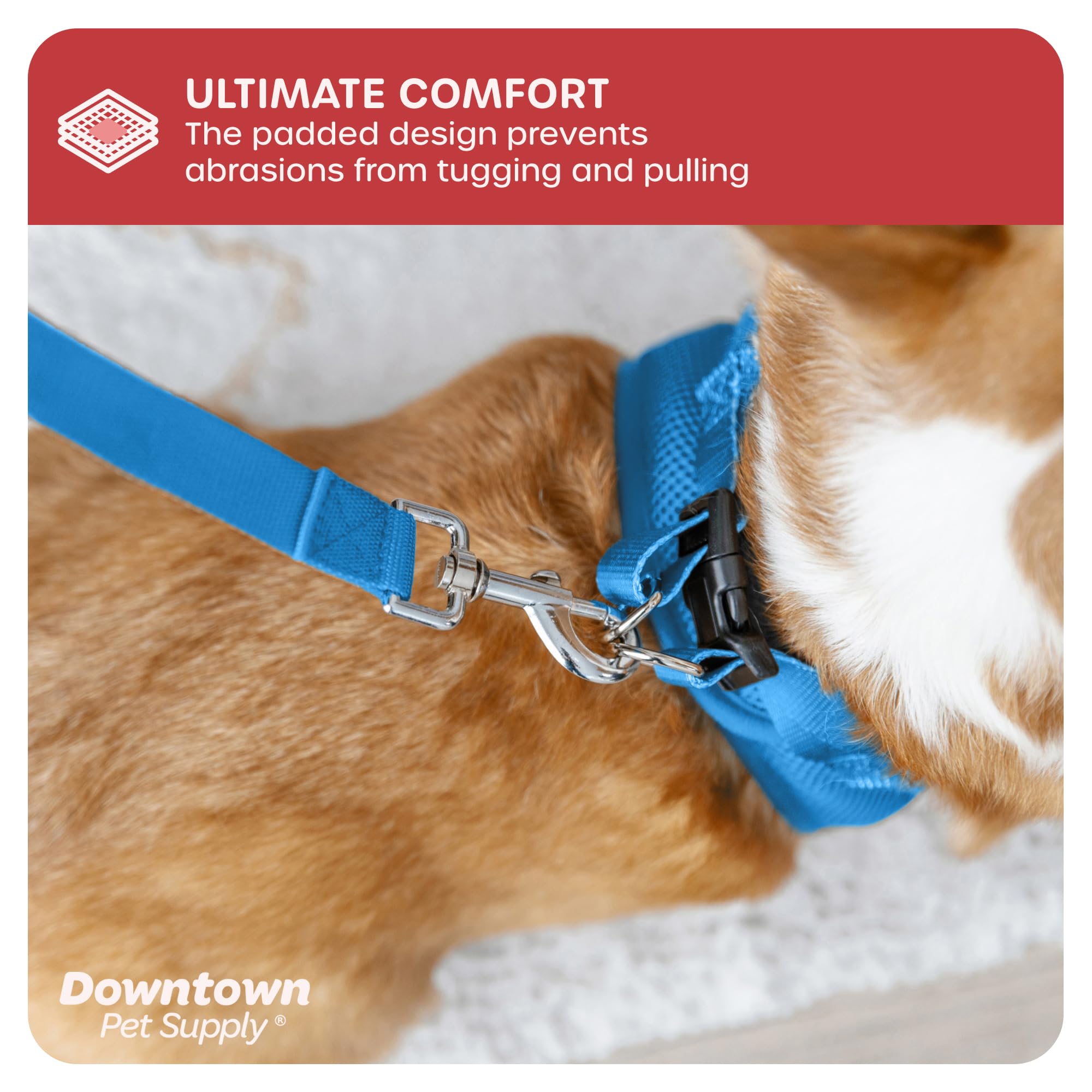 Downtown Pet Supply Step-in Dog Harness for Small Dogs & Cats - No Pull Adjustable Pet Harness with Padded Mesh Fabric & Reflective Trim - XX-Small Cobalt Blue - Perfect for Teacup Breeds, Walking & Outdoor Adventures