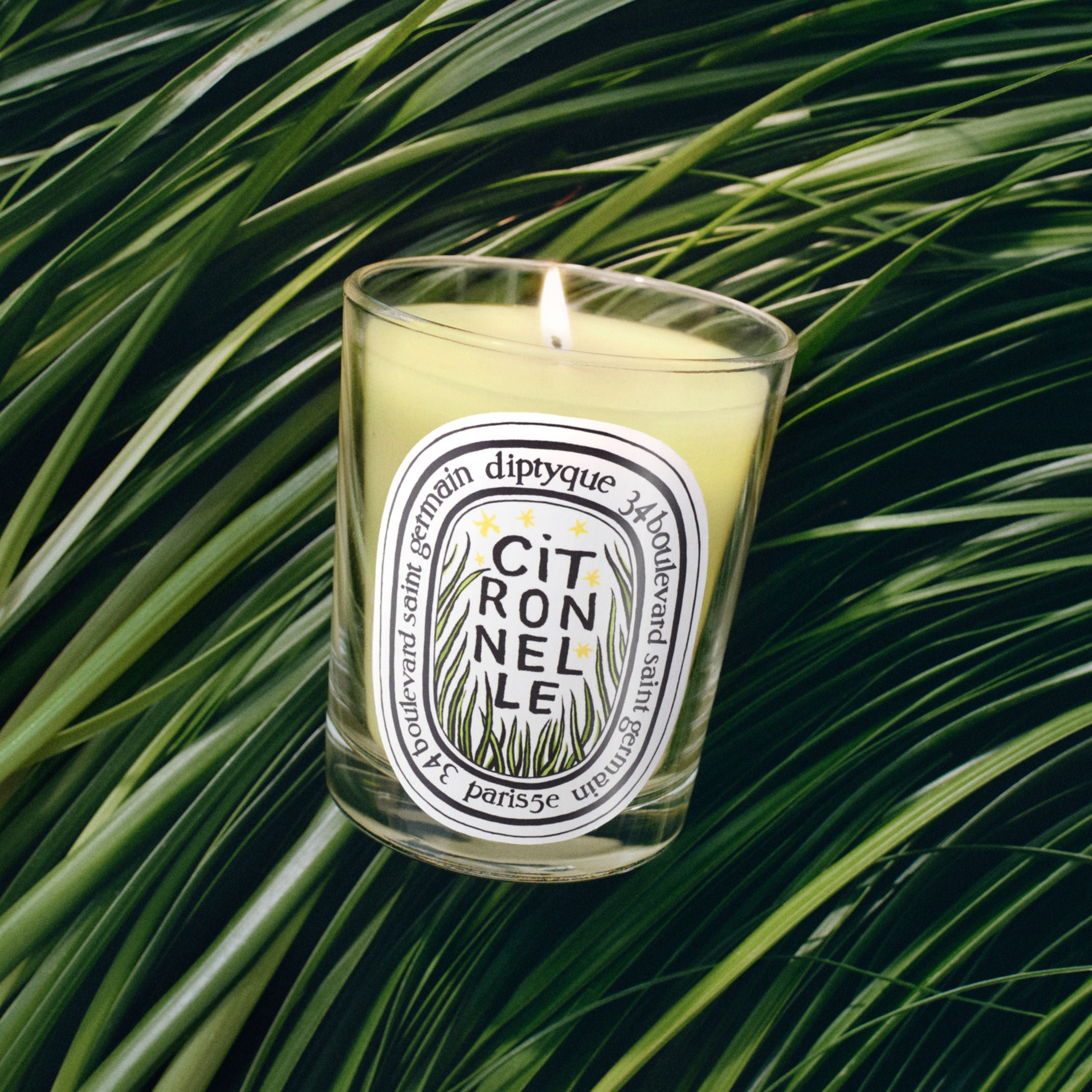 Lemongrass Scented Classic Candle - Limited Edition Aromatherapy Candle for Home Relaxation & Stress Relief