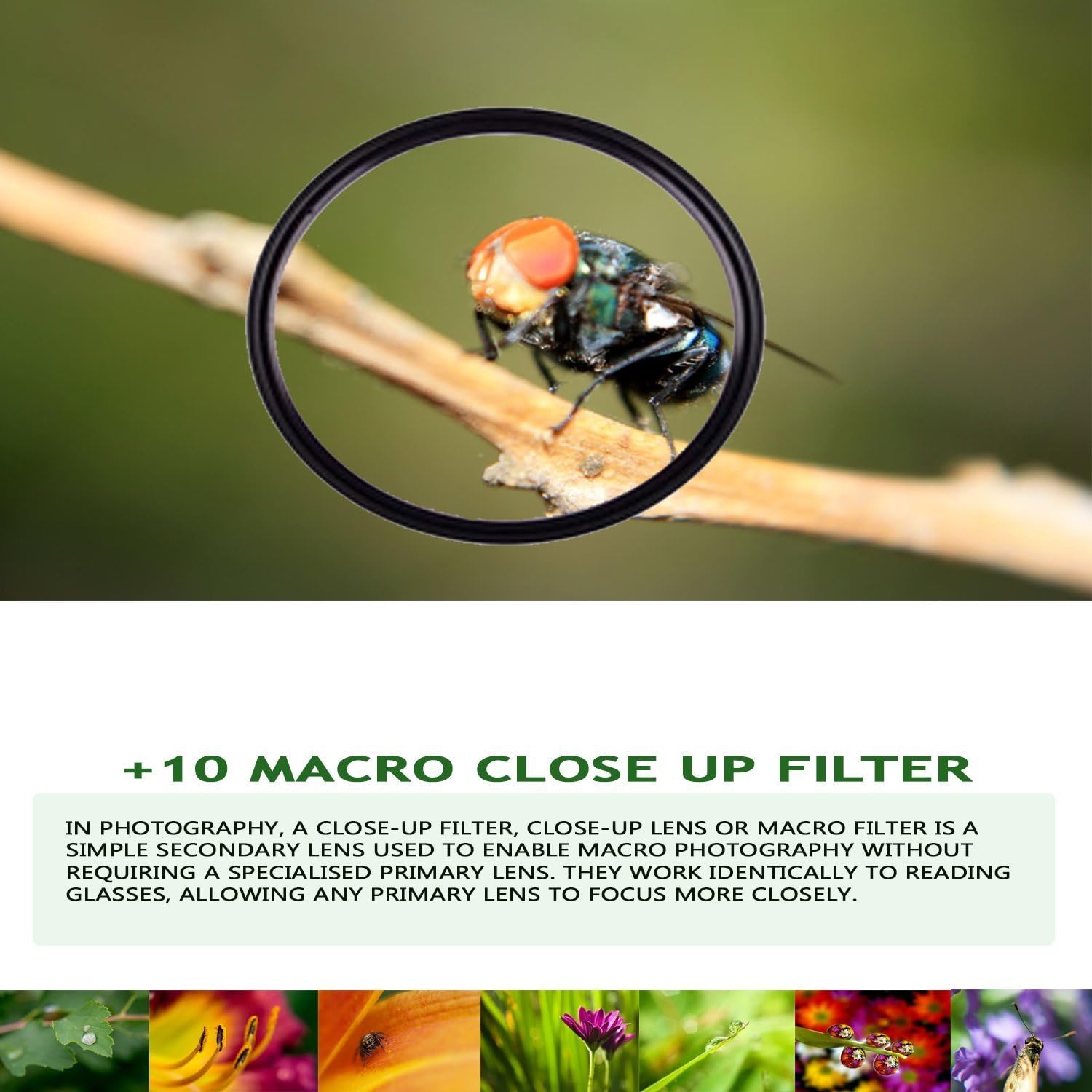 52mm +10 Macro Close Up Filter for Sigma 70-300mm f/4-5.6 SLD DG Macro Lens - High Definition Optical Glass - Compatible with Nikon DSLR Cameras - Perfect for Close-Up Photography, Jewelry & Coin Shooting, Nature Macro Shots