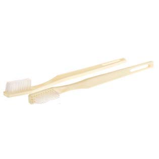 DUKAL TB20i Professional Dental Toothbrush - 30 Tuft Bristles, 4 Inch Short Ivory Handle - Perfect for Dentists, Hygienists & Home Oral Care