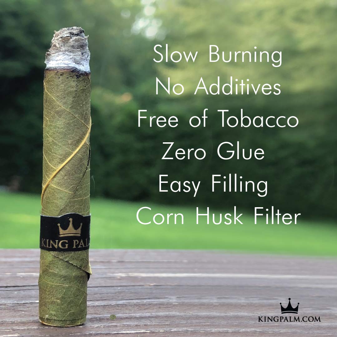 King Palm Mini Size Pre-Rolled Cones - Natural Palm Leaf Organic Pre Rolls with Pine Drip Flavor (2 Packs of 10) - Perfect for Relaxation, Social Gatherings & Outdoor Activities