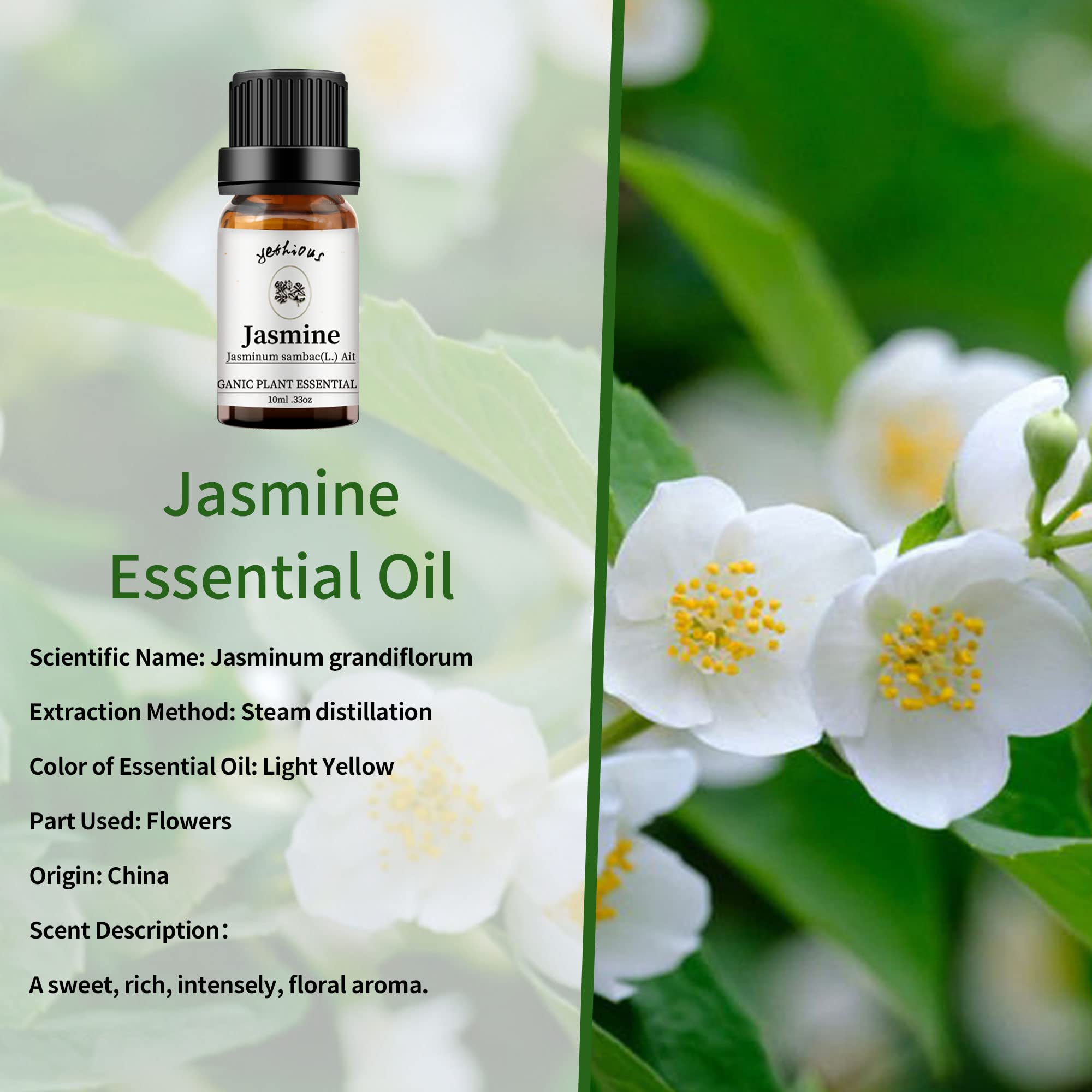 Yethious 100% Pure Organic Jasmine & Sandalwood Essential Oil Set - Aromatherapy Diffuser, Soap & Candle Making - Perfect for Relaxation, Spa & Home Fragrance