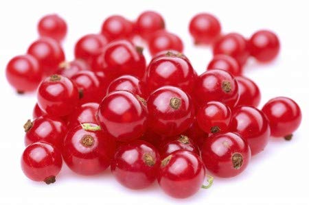 Northwest Wild Foods Organic Frozen Red Currants - 9 lbs | Antioxidant-Rich Superfruit for Smoothies, Pies, Jams & Syrups | Perfect for Healthy Recipes, Baking & Dessert Making