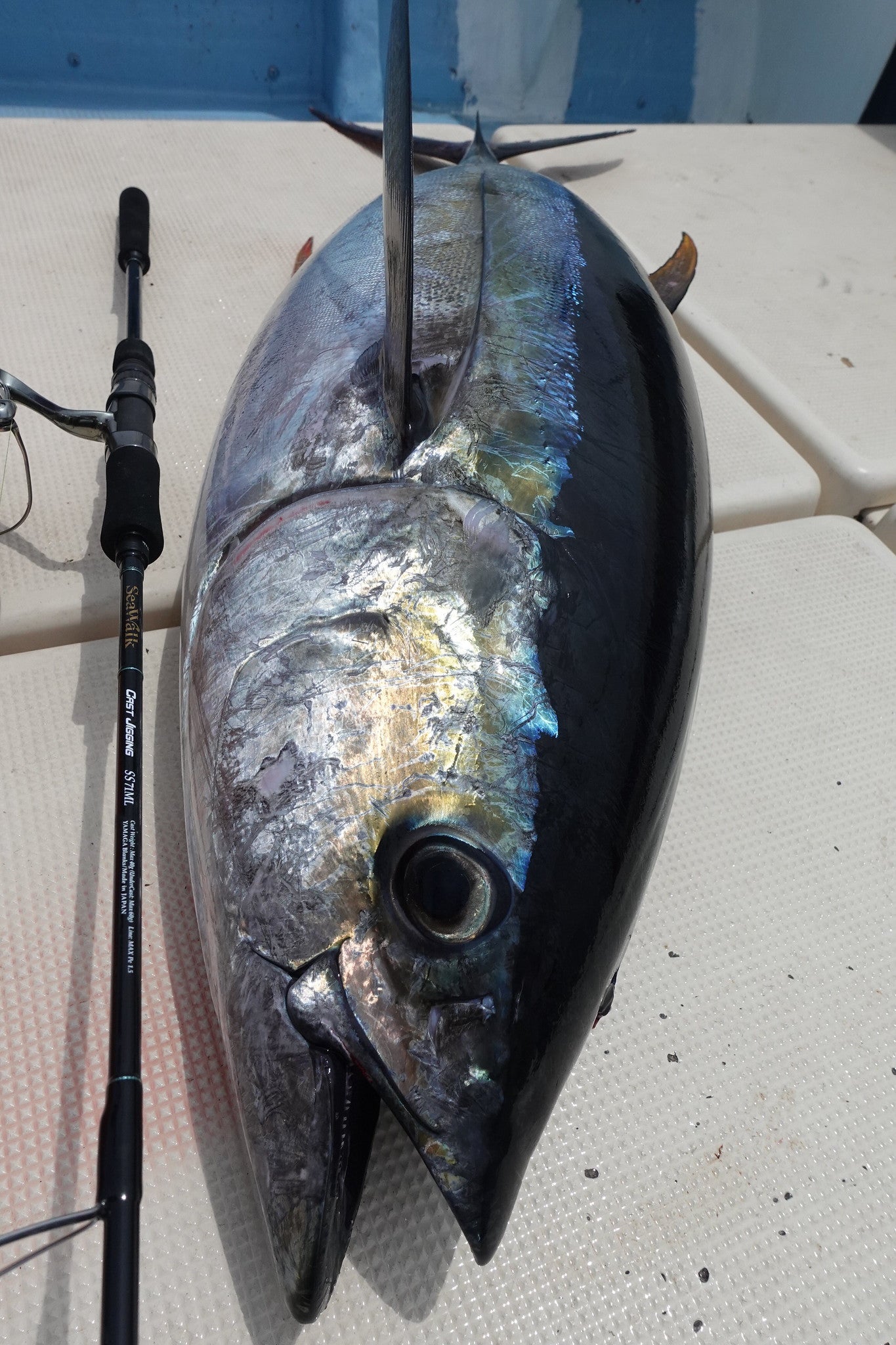 Yamaga Blanks SeaWalk Cast Jigging Swim & Skip Fishing Rods - Saltwater & Freshwater Jigging, Surf Casting for Bass, Tuna, and Offshore Fishing