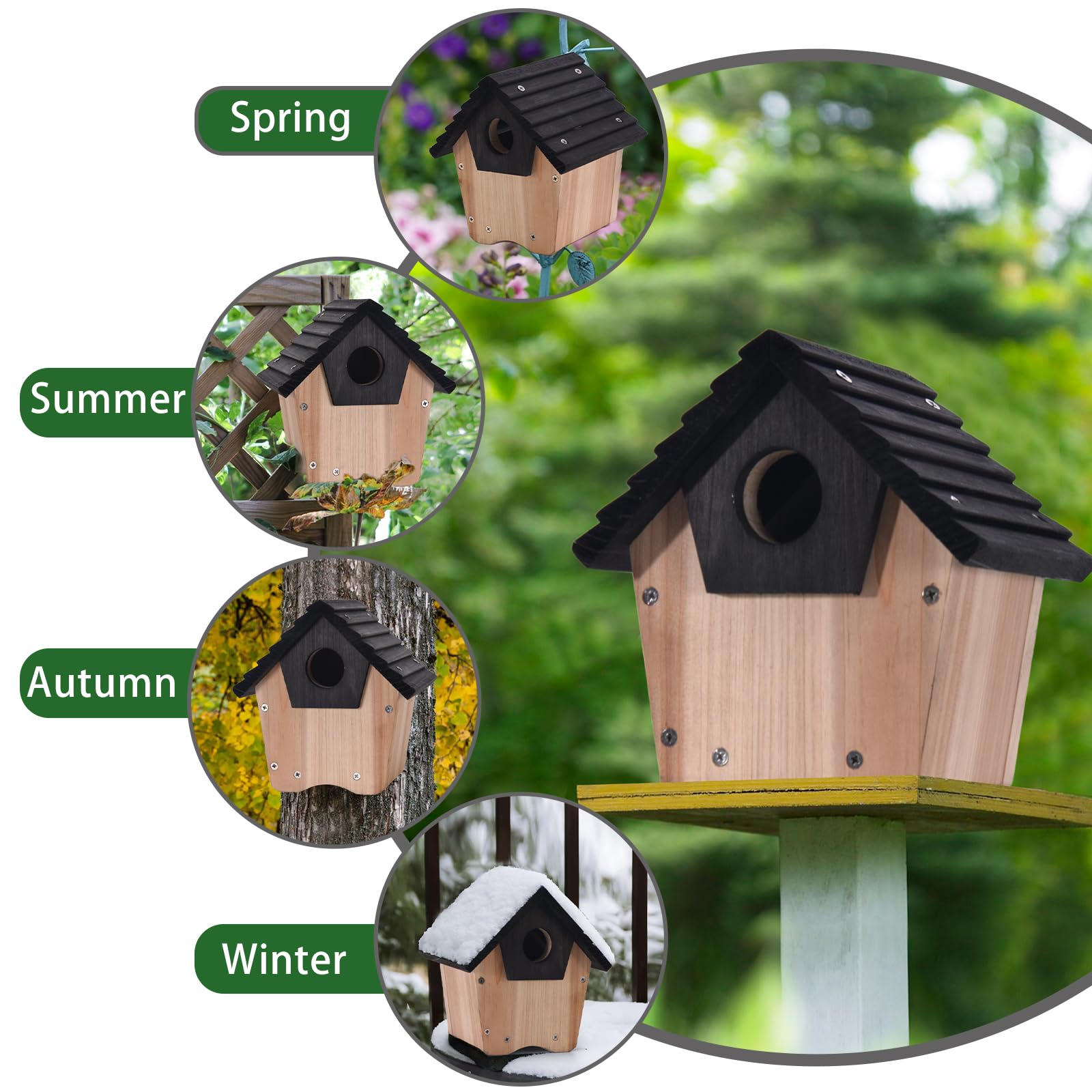 Wooden Bluebird House with Predator Guard - Outdoor Hanging Birdhouse for Wild Birds, Garden, Backyard & Courtyard - Perfect for Bird Watching & Nature Lovers
