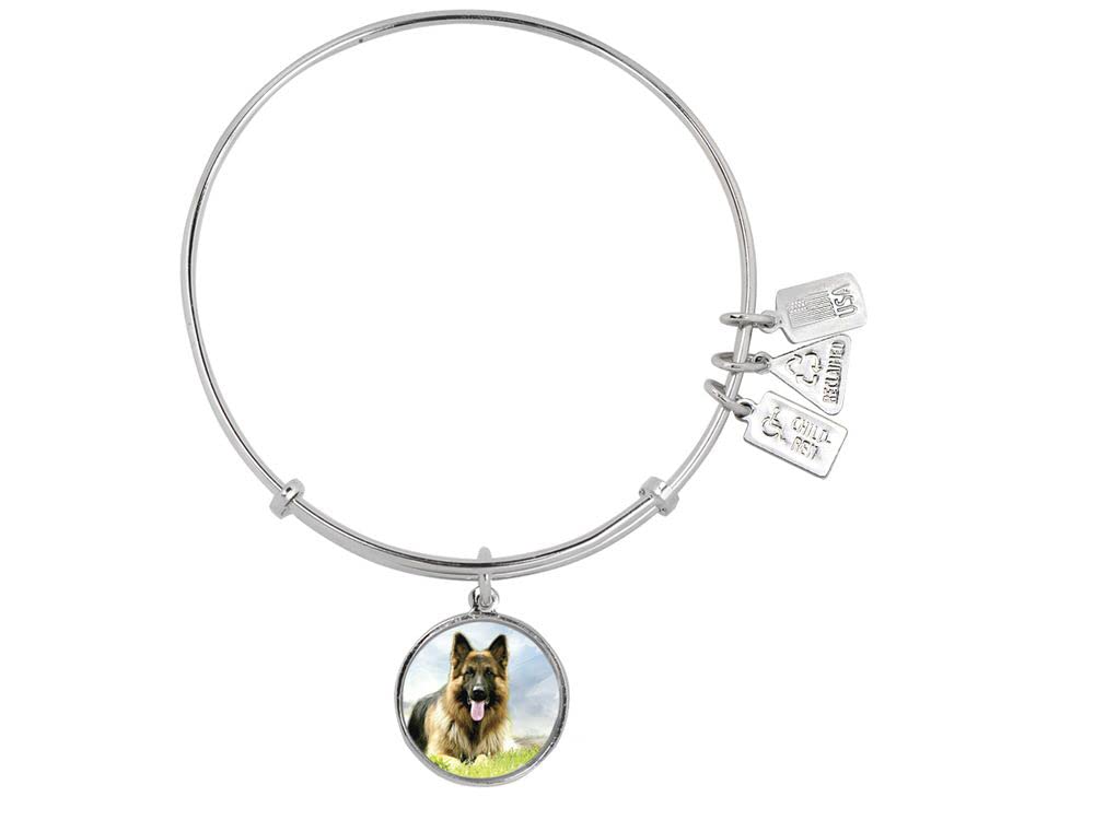 Personalized Expandable Pet Photo Charm Bangle - Custom Engraved Wind & Fire Design Bracelet for Dog & Cat Lovers - Perfect Gift for Pet Owners & Animal Lovers (Ideal for Memorials, Birthdays & Everyday Wear)