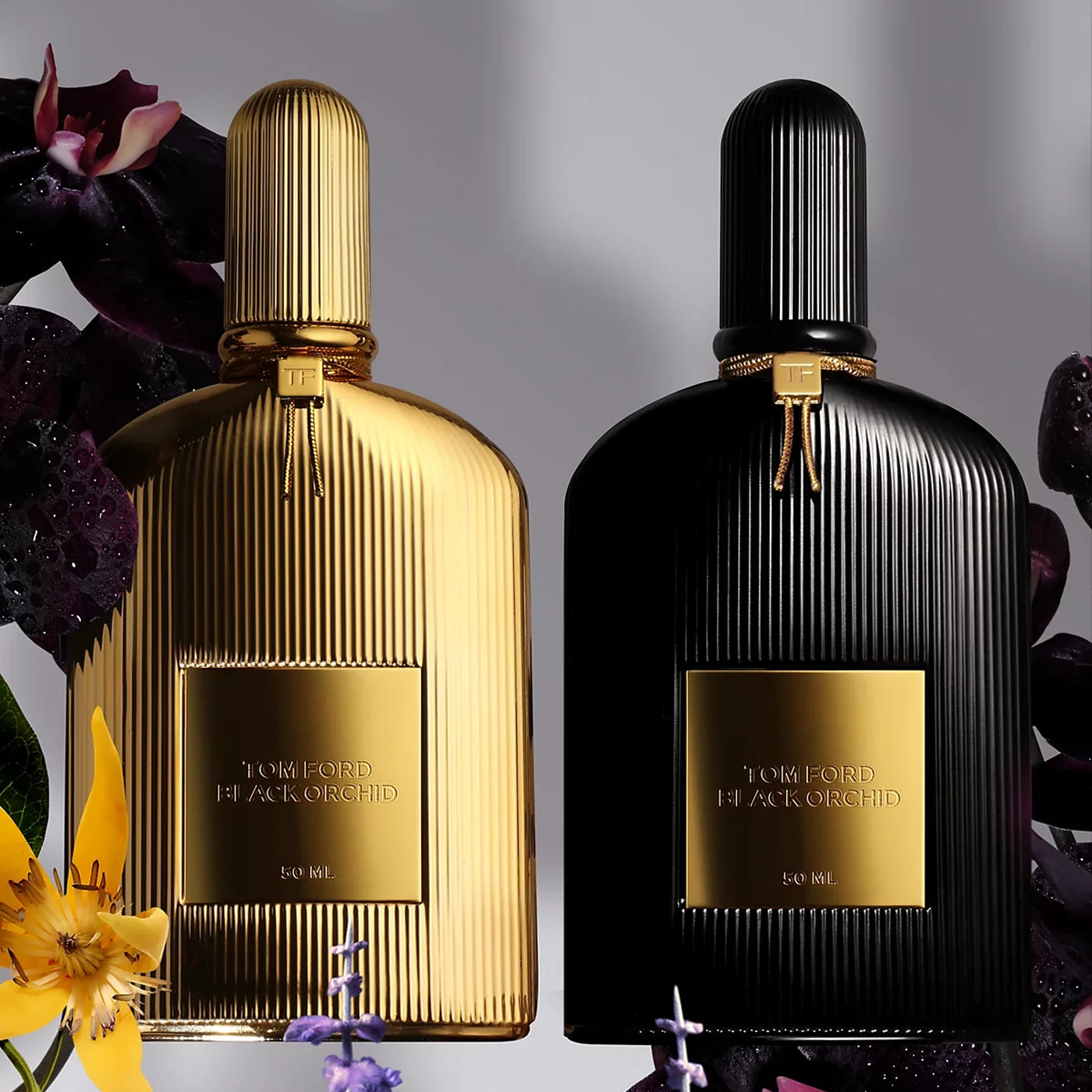 Black Orchid 5.0 oz Eau de Parfum Unisex Perfume - Luxury Fragrance for Men & Women, Perfect for Date Night, Special Occasions & Daily Wear