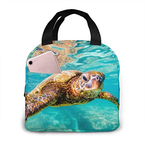 Sea Turtle