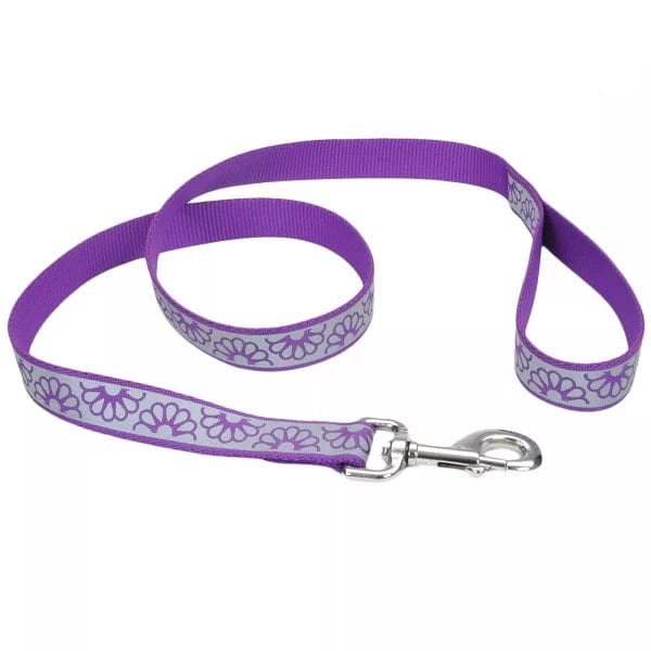Purple Daisy