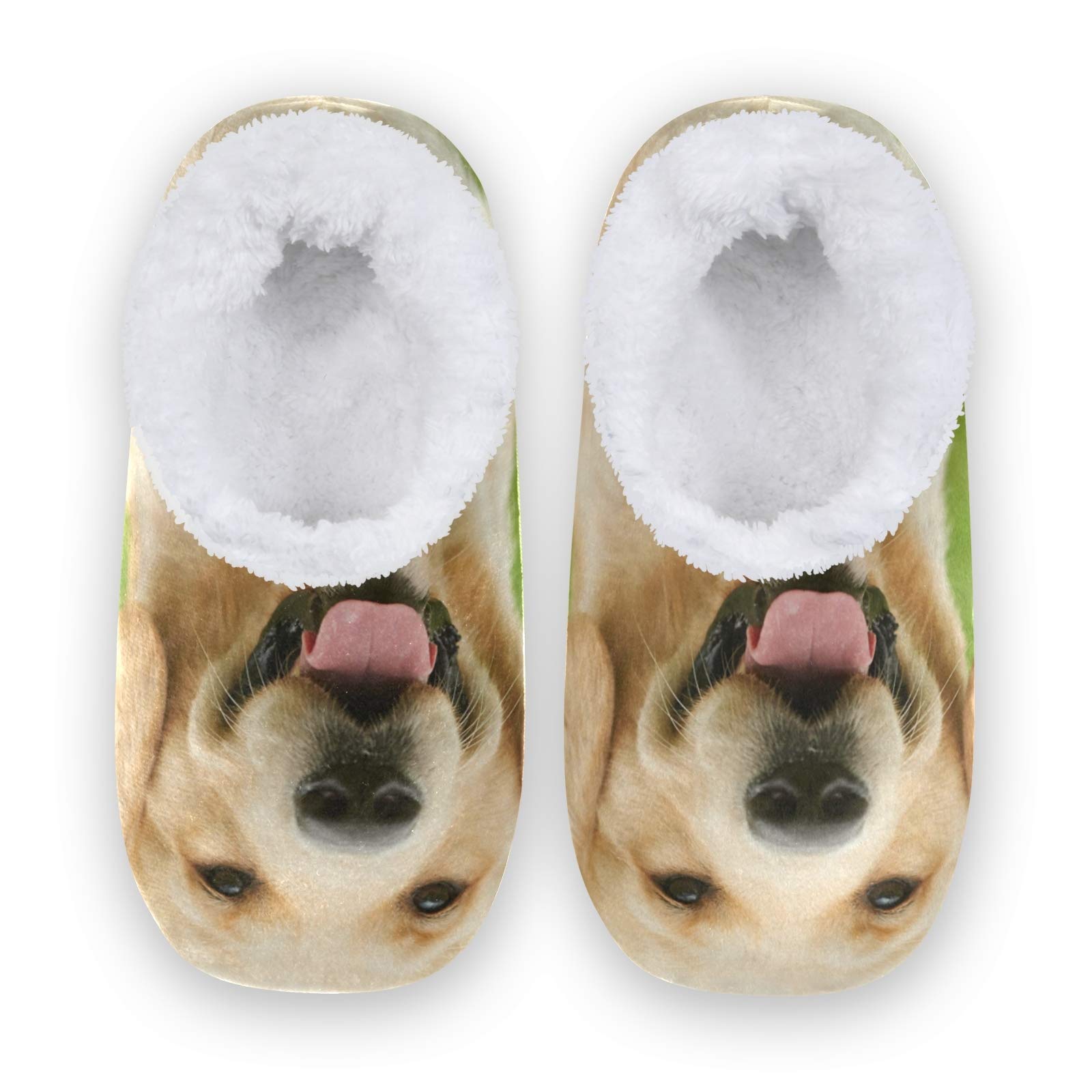 Linomo Golden Retriever Slippers for Women - Cozy Indoor House Shoes with Non-Slip Soles | Perfect for Home, Bedroom & Lounge Wear