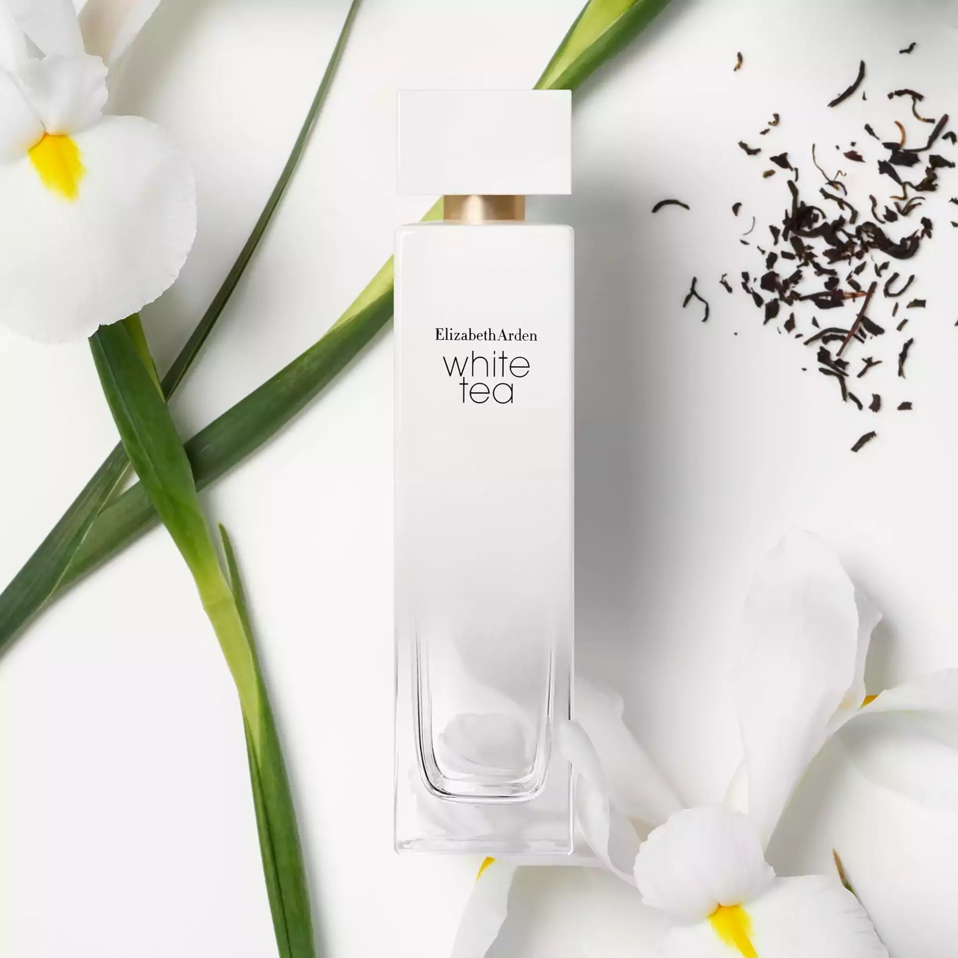White Tea Eau de Toilette Spray for Women - Fresh Floral Fragrance Long Lasting Perfume | Perfect for Daily Wear, Office & Date Night