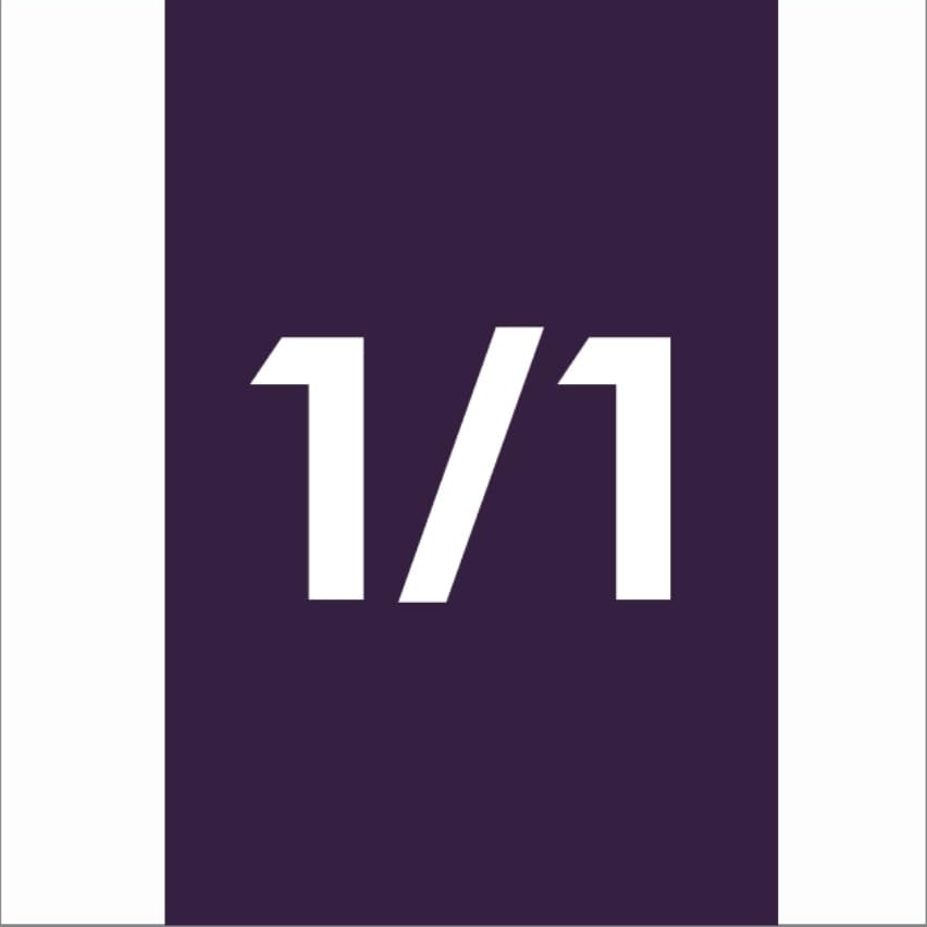 1/1 Size