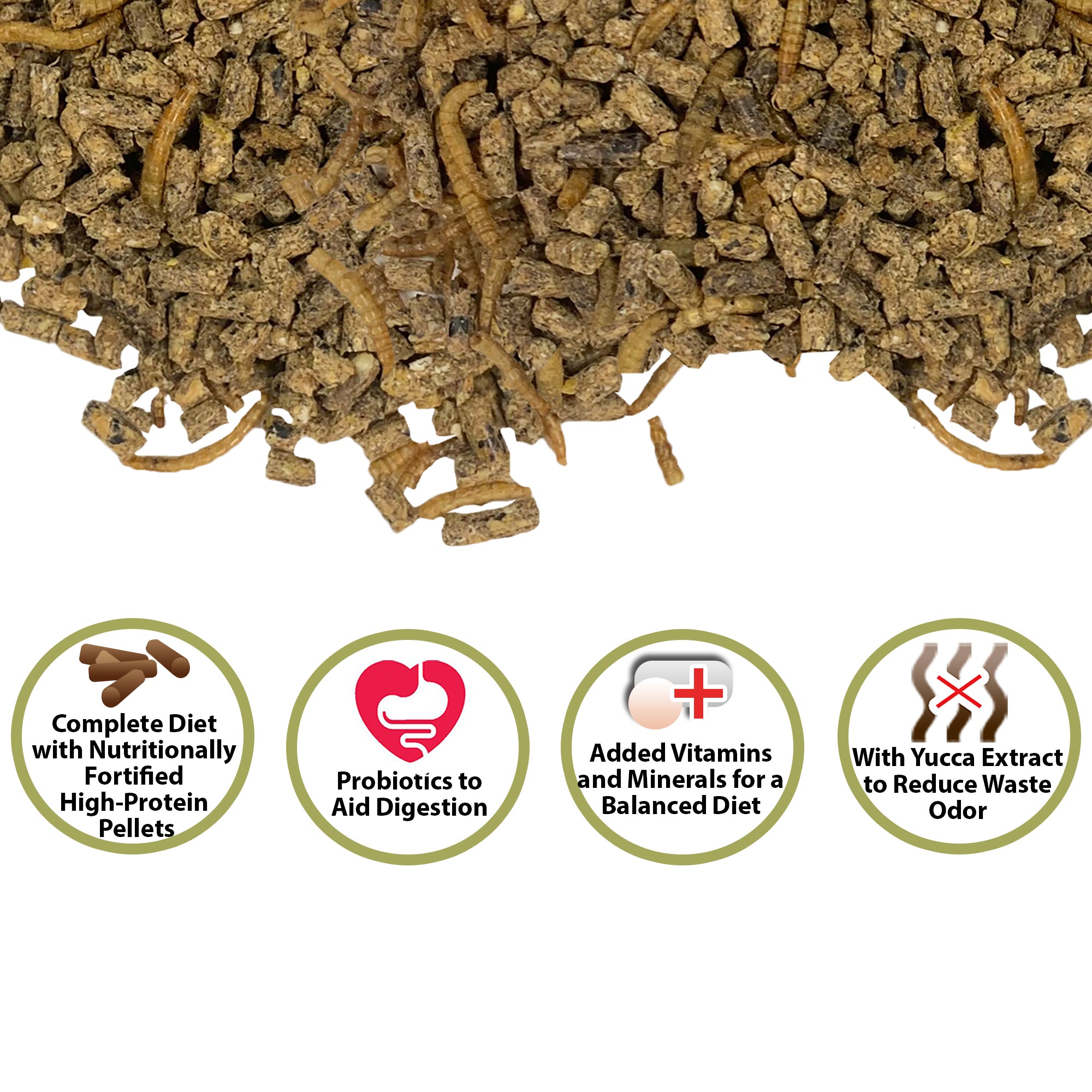Premium Hedgehog Food Complete Nutrition - High Protein Hedgehog Diet for Adult & Baby Hedgehogs - Ideal for Daily Feeding & Healthy Growth