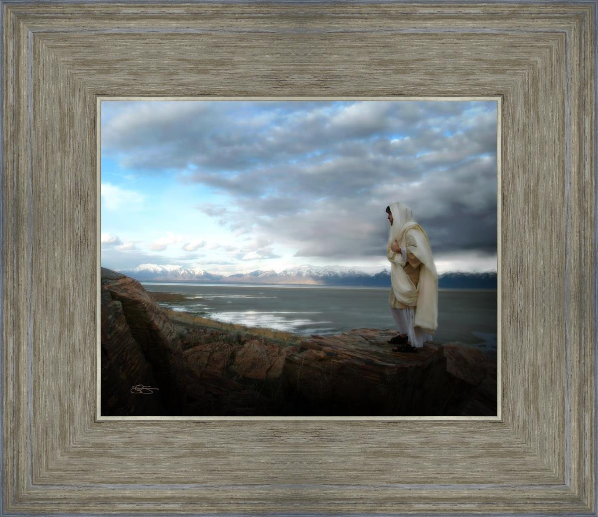 Alone Shepherd Book by Scott Sumner - Inspirational Christian Fiction for Personal Growth & Faith Journey | Perfect for Book Clubs, Bible Study Groups & Quiet Reflection Time
