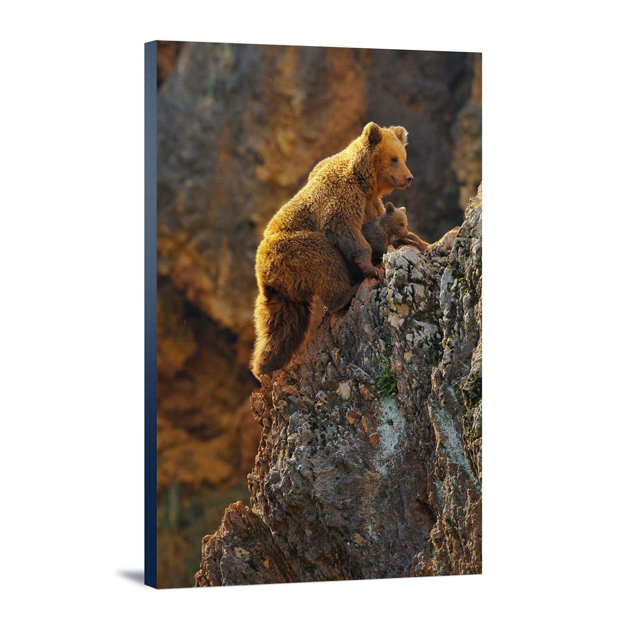 Lantern Press Grizzly Bear and Cub Climbing Wall Art - 16x24 Wrapped Canvas Print for Home Decor, Living Room, Bedroom & Office - Nature Wildlife Painting for Rustic Cabin or Modern Interior Design
