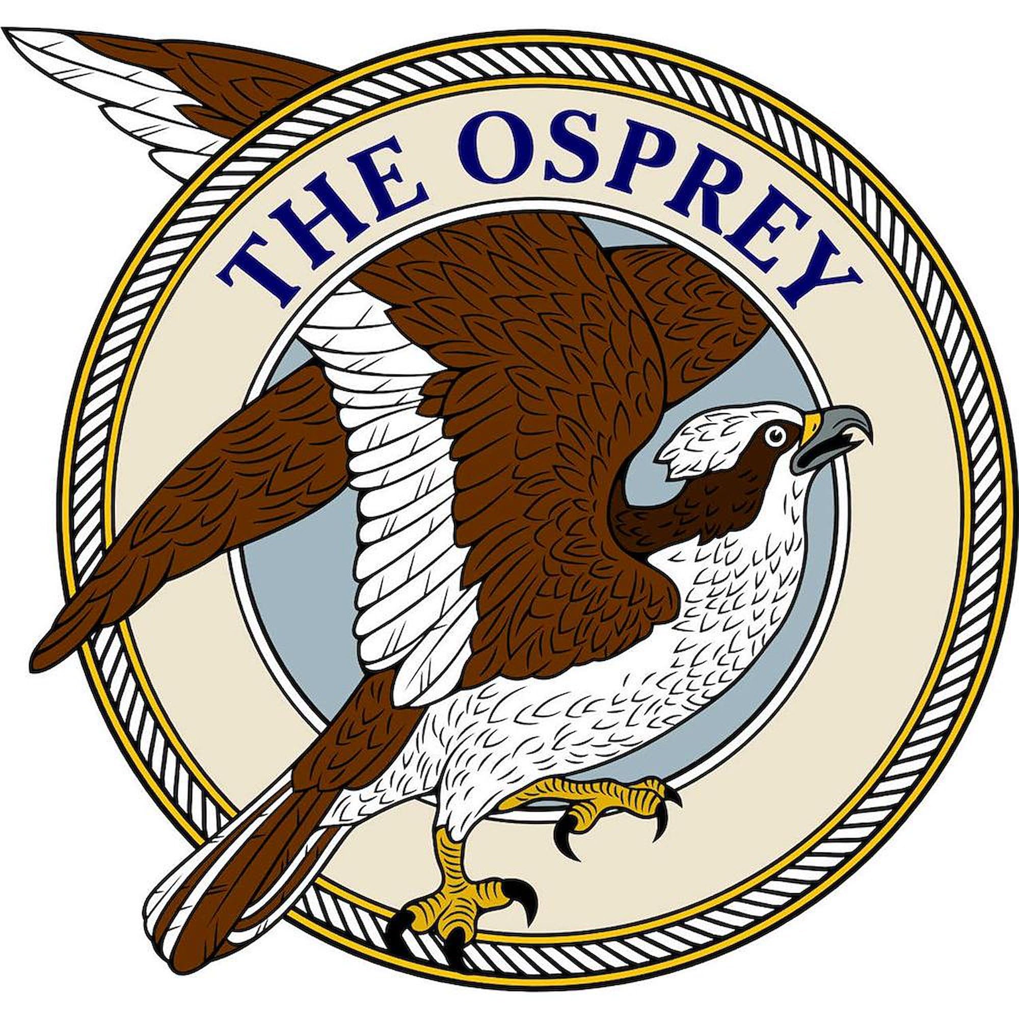 Osprey Mug 11 oz (325 ml) Ceramic Coffee Cup - Perfect for Home, Office & Outdoor Use - Unique Gift Idea for Bird Lovers