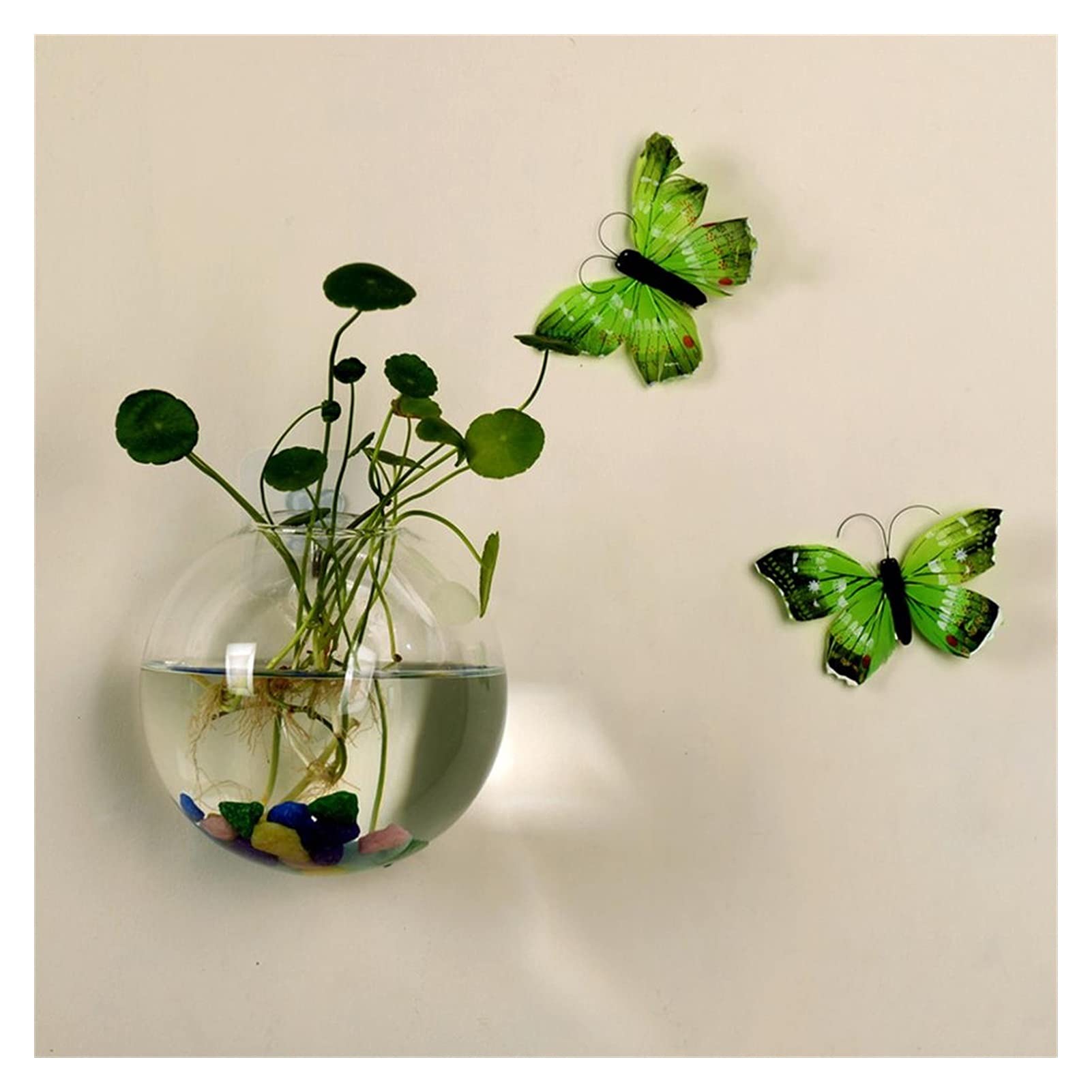 Transparent Glass Hanging Planter - 4.7 Inch Wall Mounted Hydroponic Terrarium for Plants, Flowers & Small Fish | Indoor/Outdoor Decorative Vase for Home, Office, Balcony & Garden