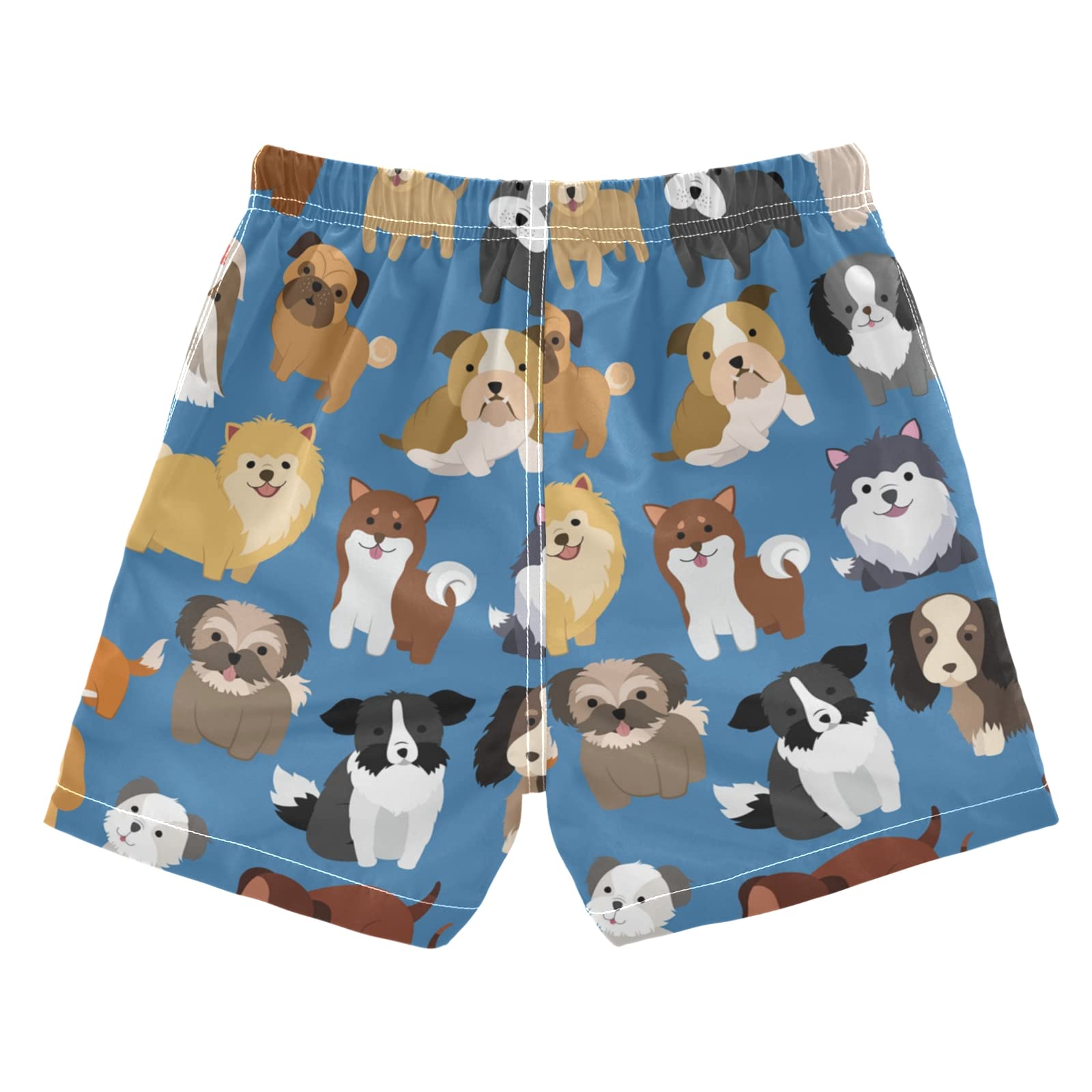 **Boys Swim Trunks for Kids 2-14 Years - Quick Dry Swim Shorts for Beach, Pool & Vacation | Hawaii Style Bathing Suit for Swimming & Water Play**