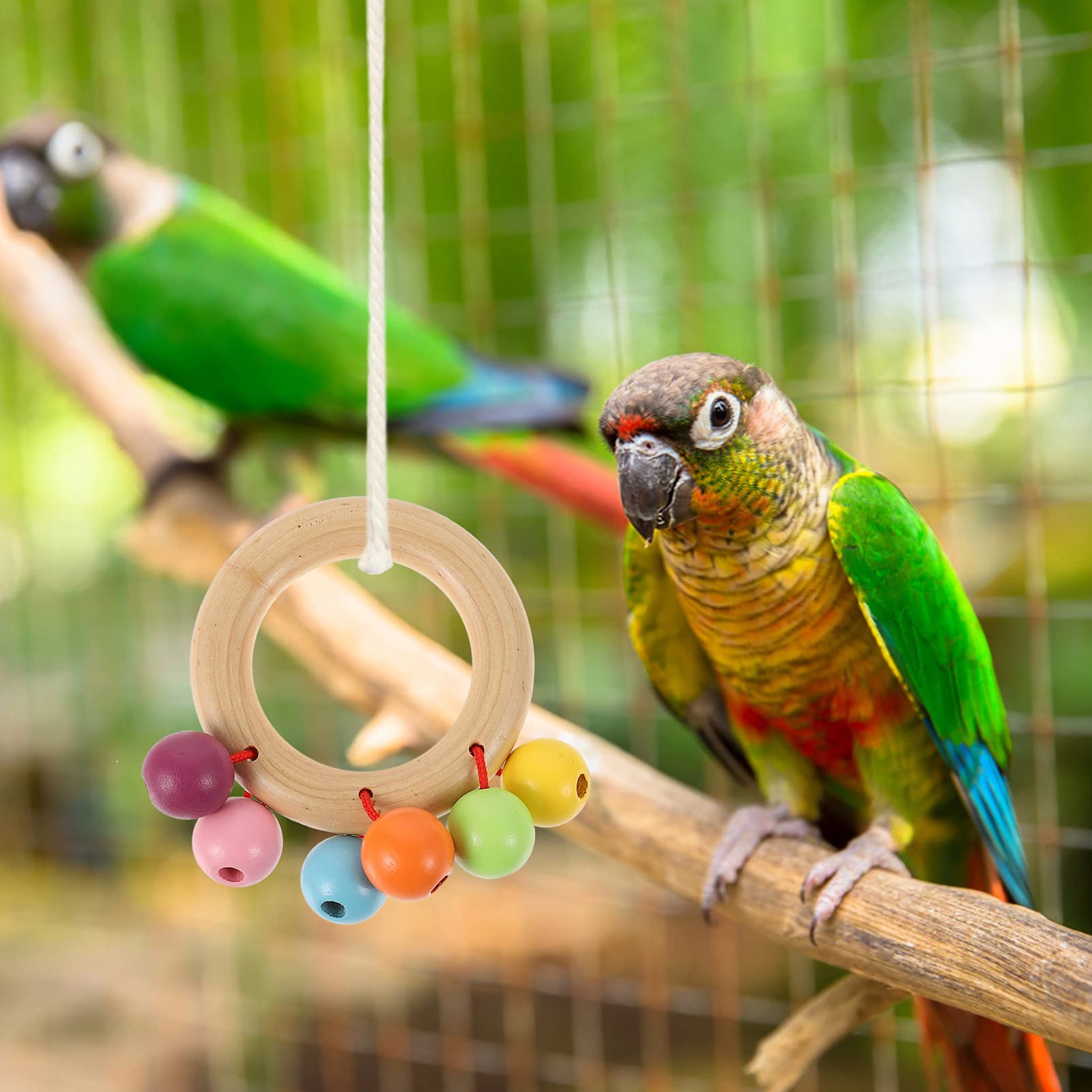 Balacoo 4-Piece Parrot Toy Set - Interactive Bird Chew Toys, Educational Dumbbell & Fun Biting Playthings for Parrots - Perfect Cage Accessories for Training & Enrichment (Great for Macaws, Cockatoos & Small Birds)