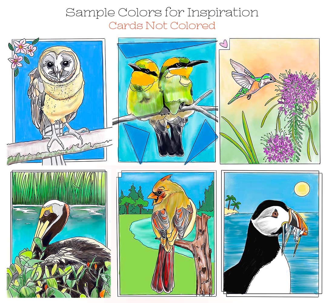 Davis Industries Adult Coloring Cards Set - 6 Unique Bird-Themed Greeting Cards with Envelopes | Relaxing Art Therapy for Stress Relief & Mindful Gifts