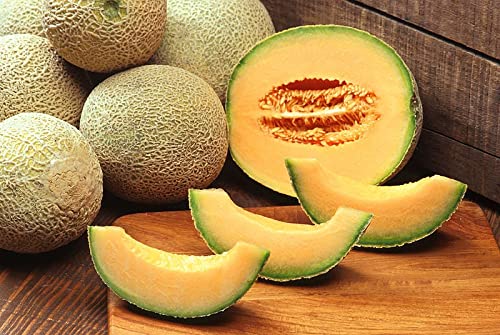 200 HALE'S Best Jumbo Cantaloupe Orange Muskmelon Seeds - Sweet Cucumis Melo Melon Fruit for Home Garden Planting - Perfect for Fresh Salads, Smoothies & Healthy Snacks