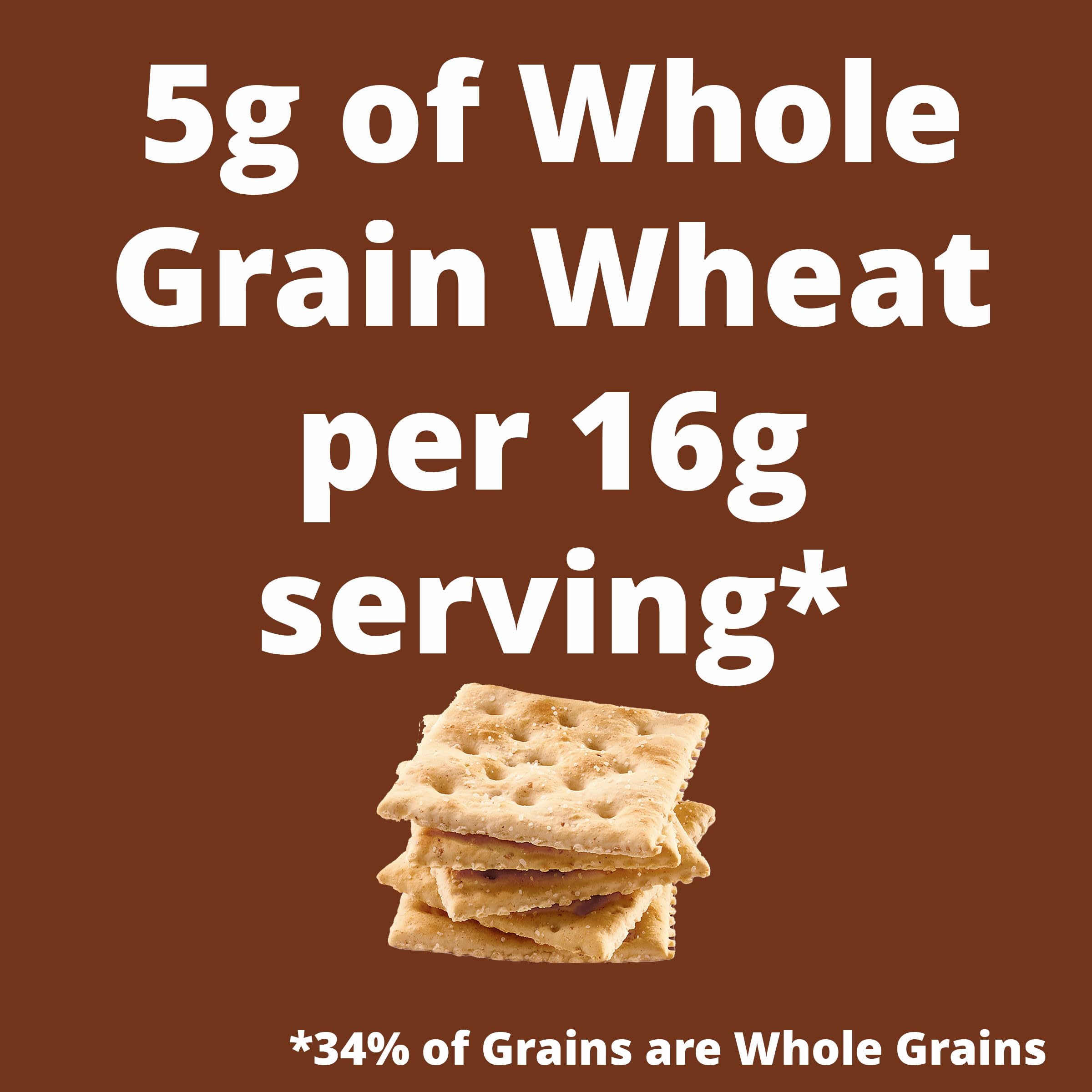Premium Whole Grain Wheat Saltine Crackers - 1.06 lb Box, Healthy Lunch Snacks & On-The-Go Treats for Office, School, or Road Trips
