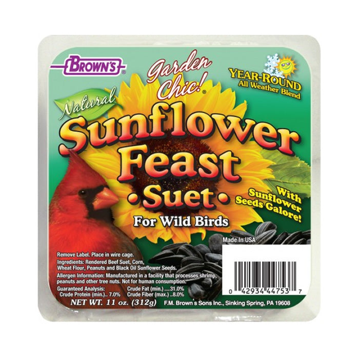 Sunflower Feast Suet Cakes - 8 Pack | High-Energy Bird Food for Wild Birds | Perfect for Backyard Feeders & Winter Bird Feeding