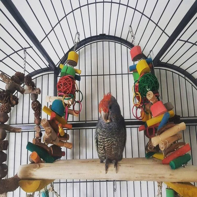 Large Parrot Swing Toy for Birds - Fun Play Perch for Macaws, Cockatoos & Parrots - Perfect for Cage Climbing, Exercise & Entertainment