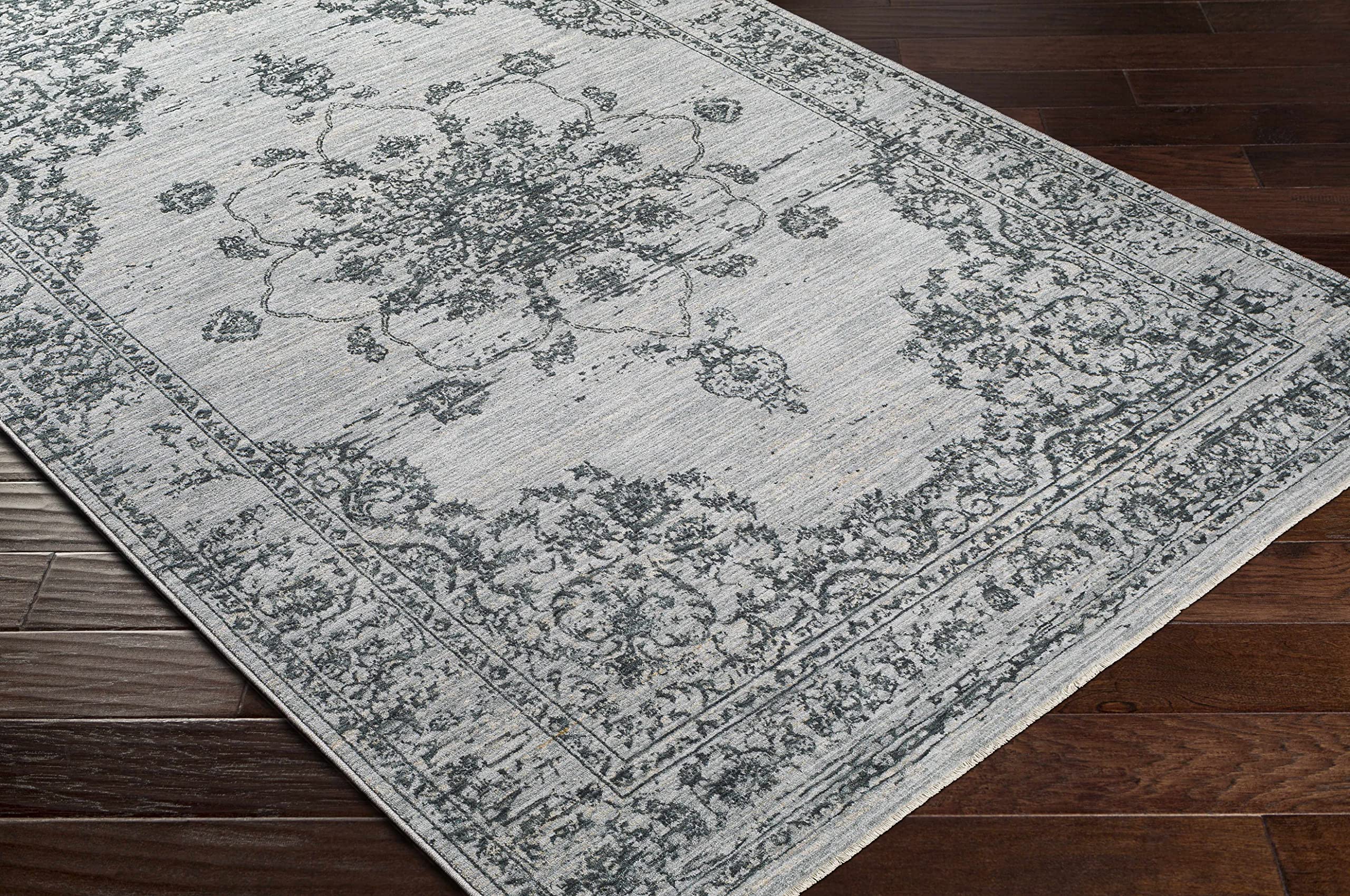 Hauteloom Wandina Traditional Beige Blue Gray Area Rug 2' x 3' - Soft Non-Slip Living Room Bedroom Rug for Home Decor, Cozy Floor Mat for Family Spaces