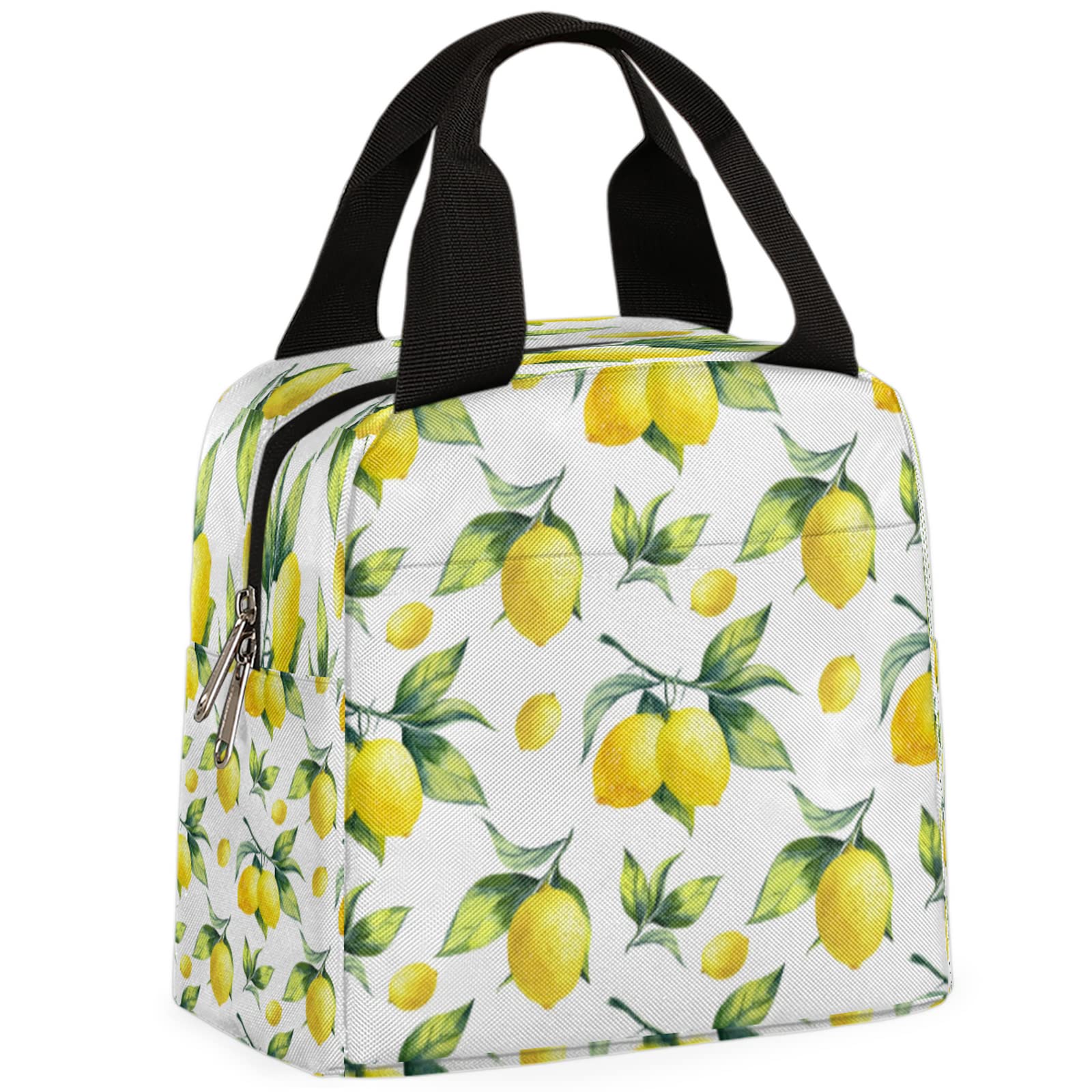 Insulated Leak-Proof Lunch Cooler Bag for Work & School - Reusable Lunch Tote for Women & Men - Perfect for Picnics, Fresh Fruit Storage & Daily Commute