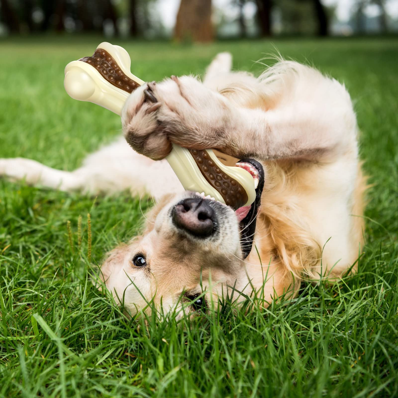 **Sosation 6-Pack Durable Nylon Dog Chew Toys for Aggressive Chewers - Beef Flavor Puppy Teething Bones for Small, Medium & Large Breed Dogs - Tough & Safe Chew Toys for Puppies & Adult Dogs - Perfect for Teething, Boredom Relief & Dental Health**