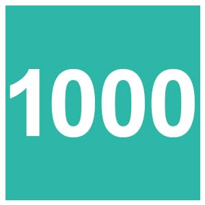 3.0 Mint Green 1000G