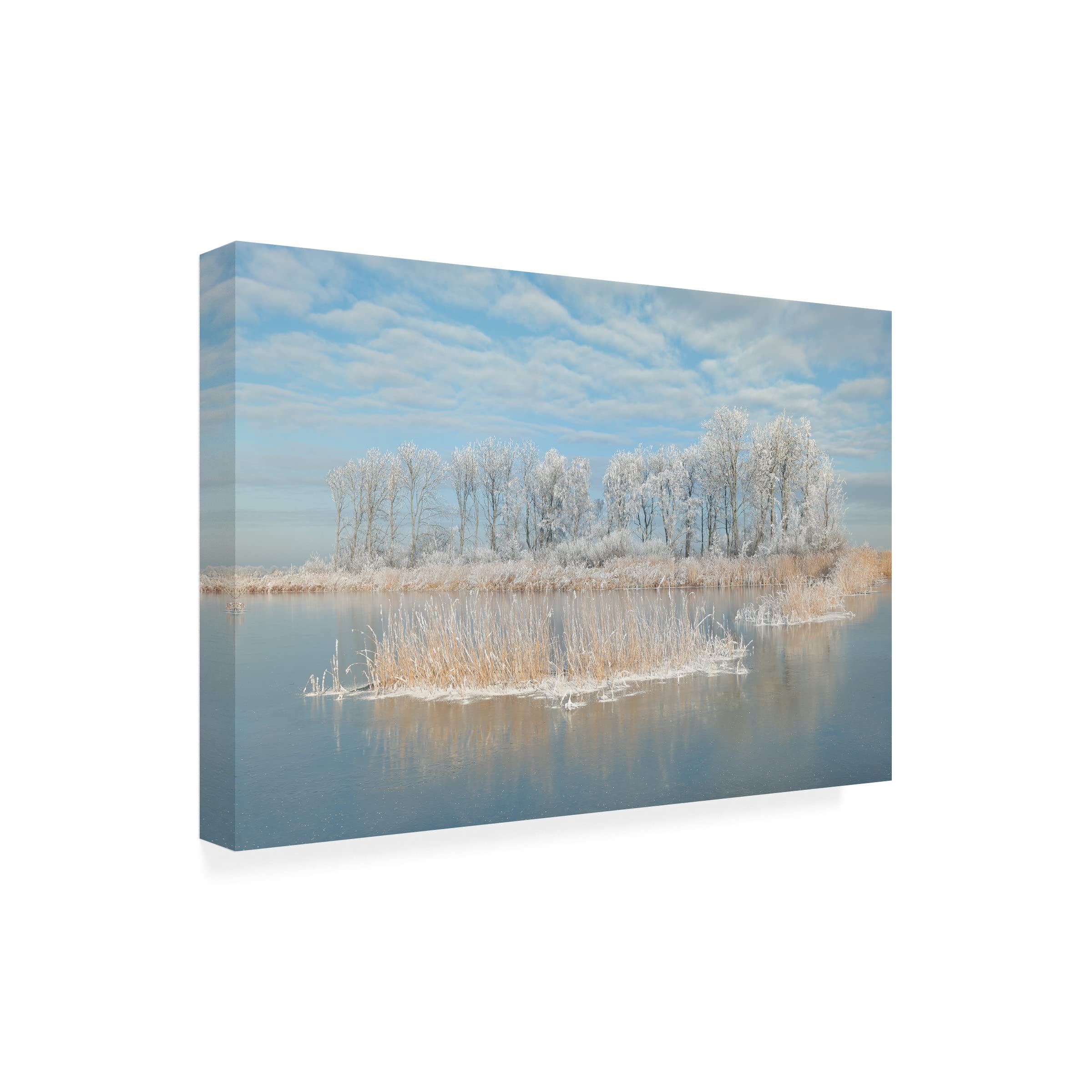 Piet Haaksma 'Winter' Canvas Art Print - Trademark Fine Art Wall Decor for Living Room, Bedroom & Office
