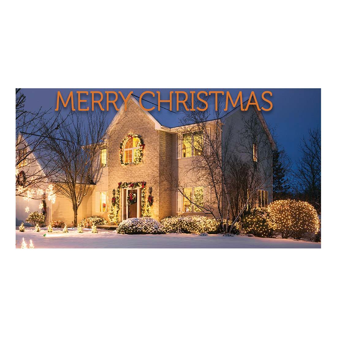 Christmas Light Removal Tool Kit - Easy Holiday Decoration Take Down & Storage Solution for Indoor & Outdoor Use