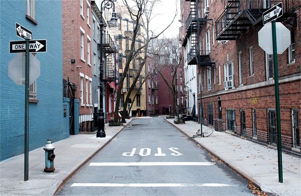 10x8ft Manhattan City Street Photography Backdrop - West Village New York Skyline with Downtown NYC Alley & Parking Signs - Perfect for Studio Photo Shoots, Portrait Backgrounds, and Urban Themed Events