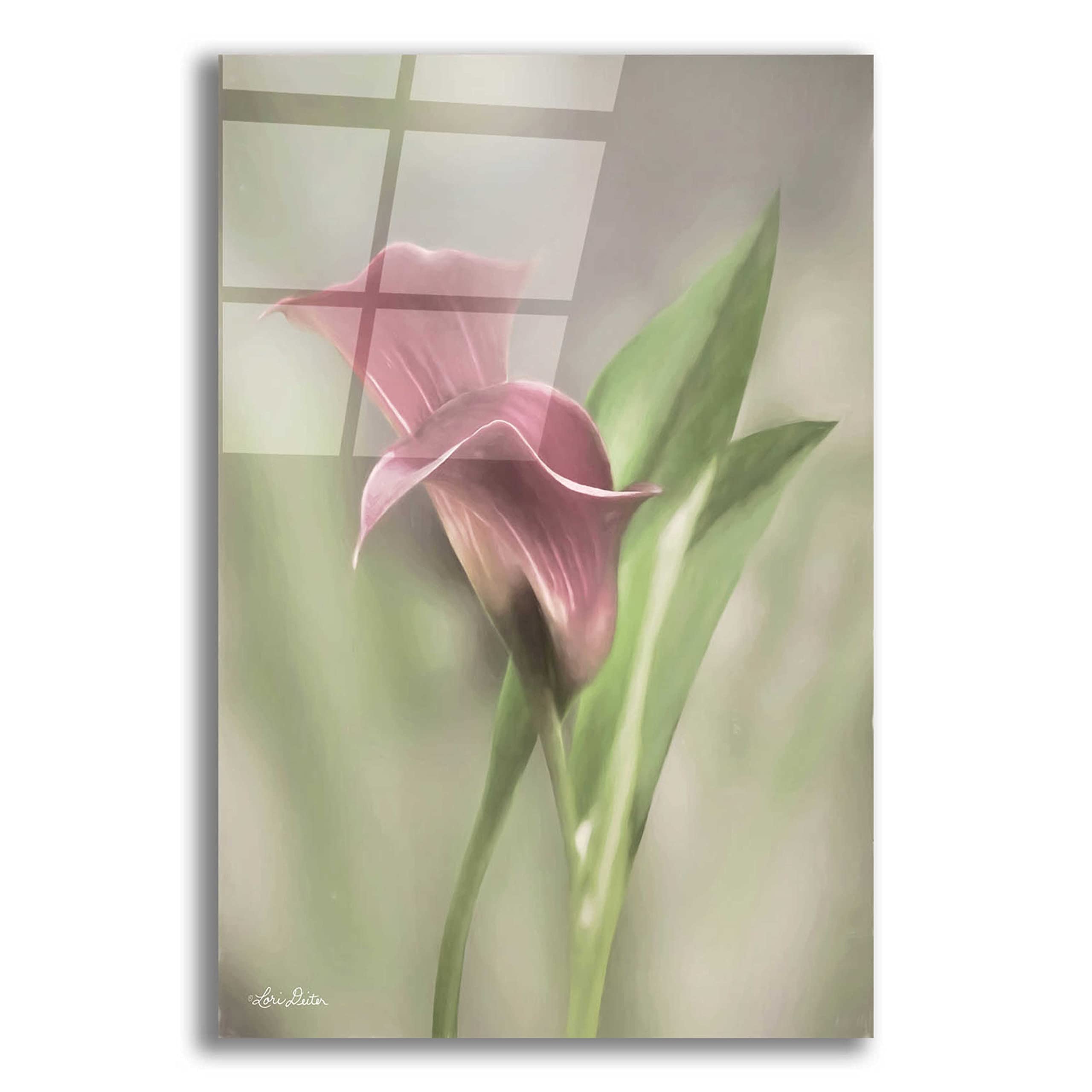 Pink Calla Lily Acrylic Glass Wall Art - 16x24 Inch Modern Floral Painting by Lori Deiter | Perfect for Living Room, Bedroom & Office Decor