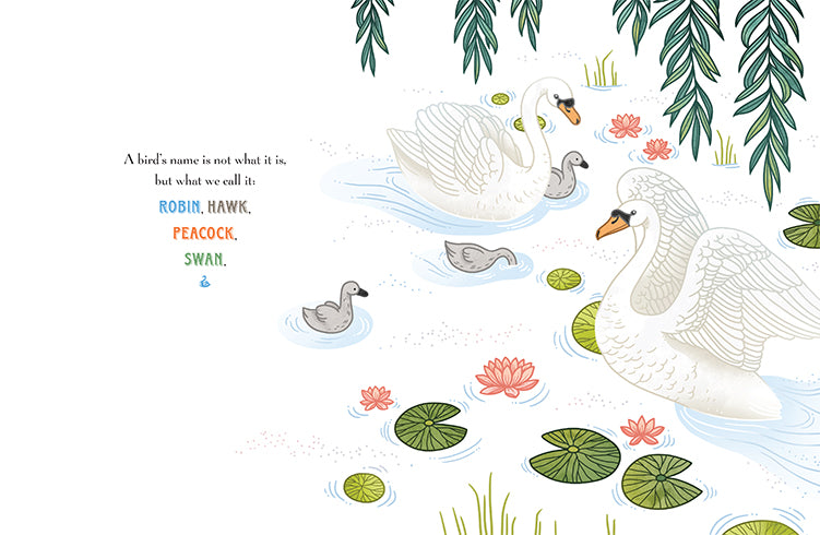 Discover the Name of a Bird - Bird Identification Guide for Birdwatching & Nature Lovers
