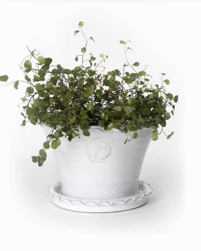 Kruka Sturehof Liljencrantz 20cm White Ceramic Flower Pot - Perfect for Indoor Plants, Home Decor & Garden Planting