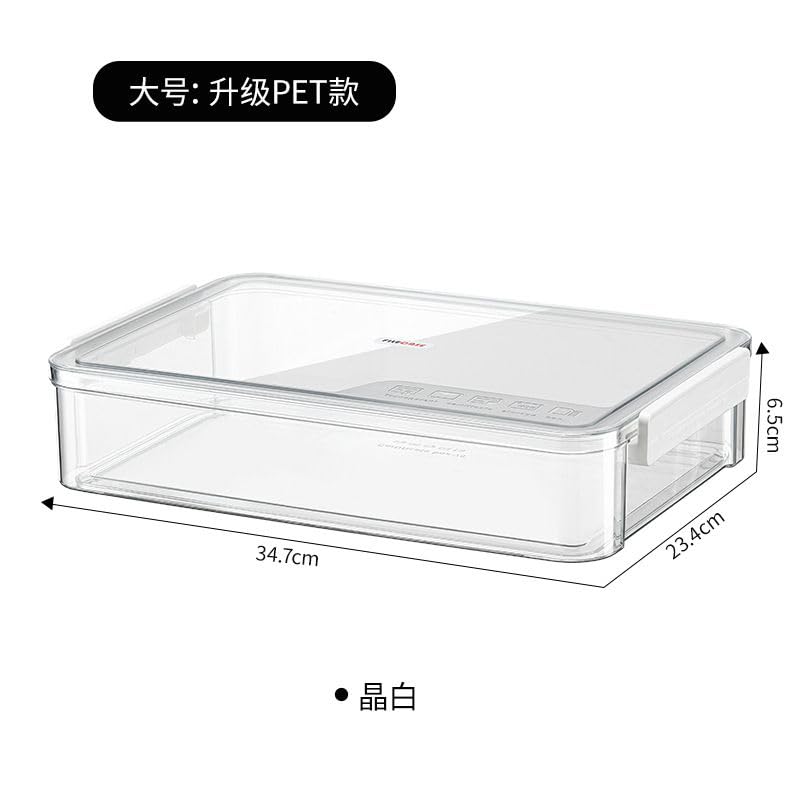 Collapsible Storage Bins for Home Organization - Large Clear White File Box, Document Holder, Instruction Card Keeper - Perfect for Office, Closet & Travel Storage