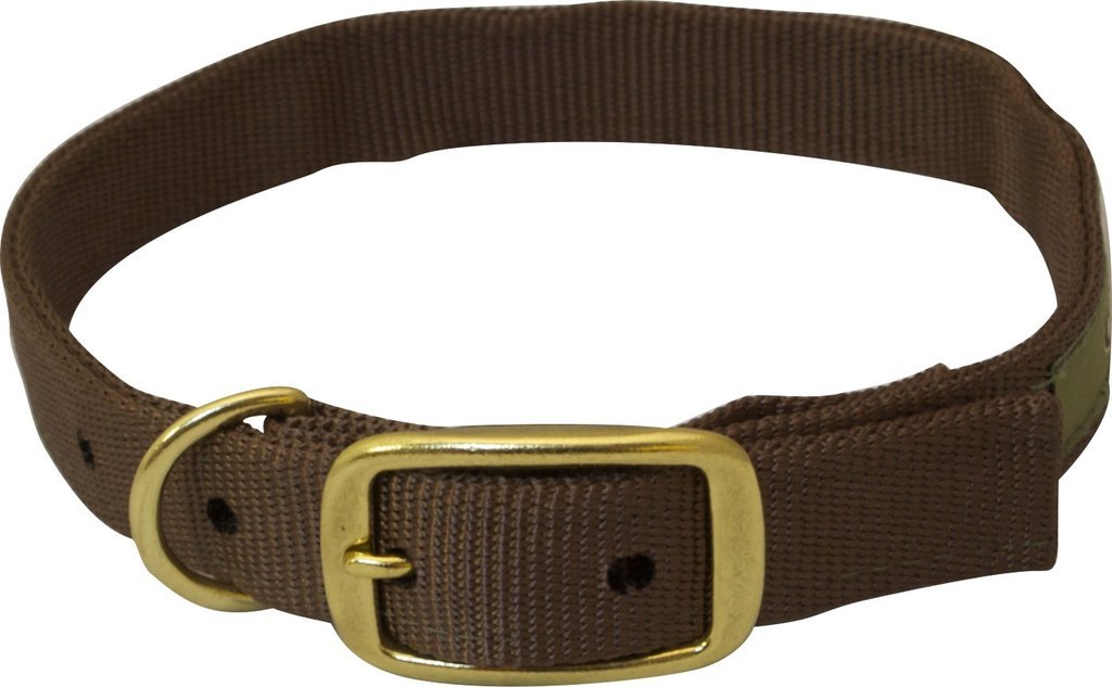 Drake DW9803-BRN-022 Team Gun Dog Collar - Durable Brown Leather Hunting Dog Collar 22